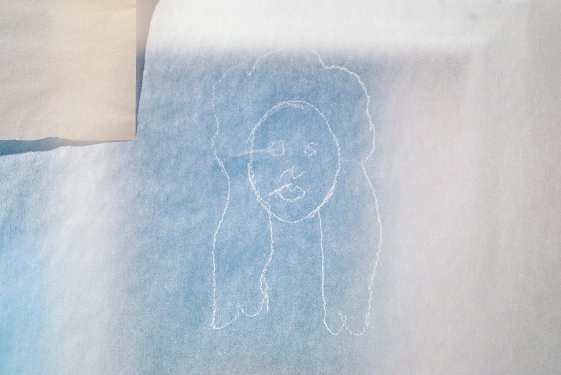IWABI_Whitey Tracing.jpg