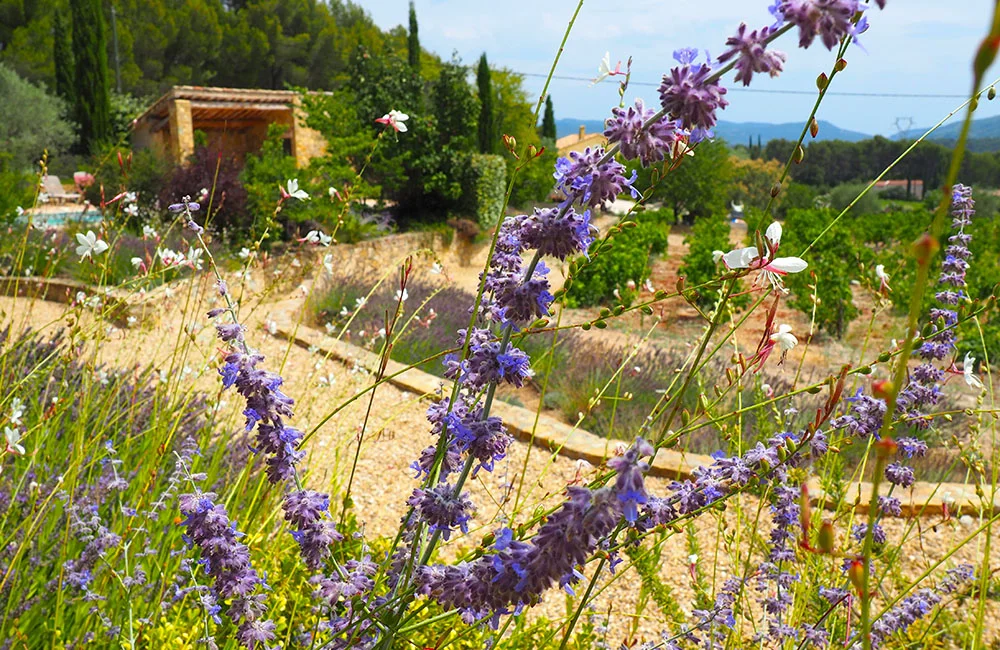 villa le castellet.jpg