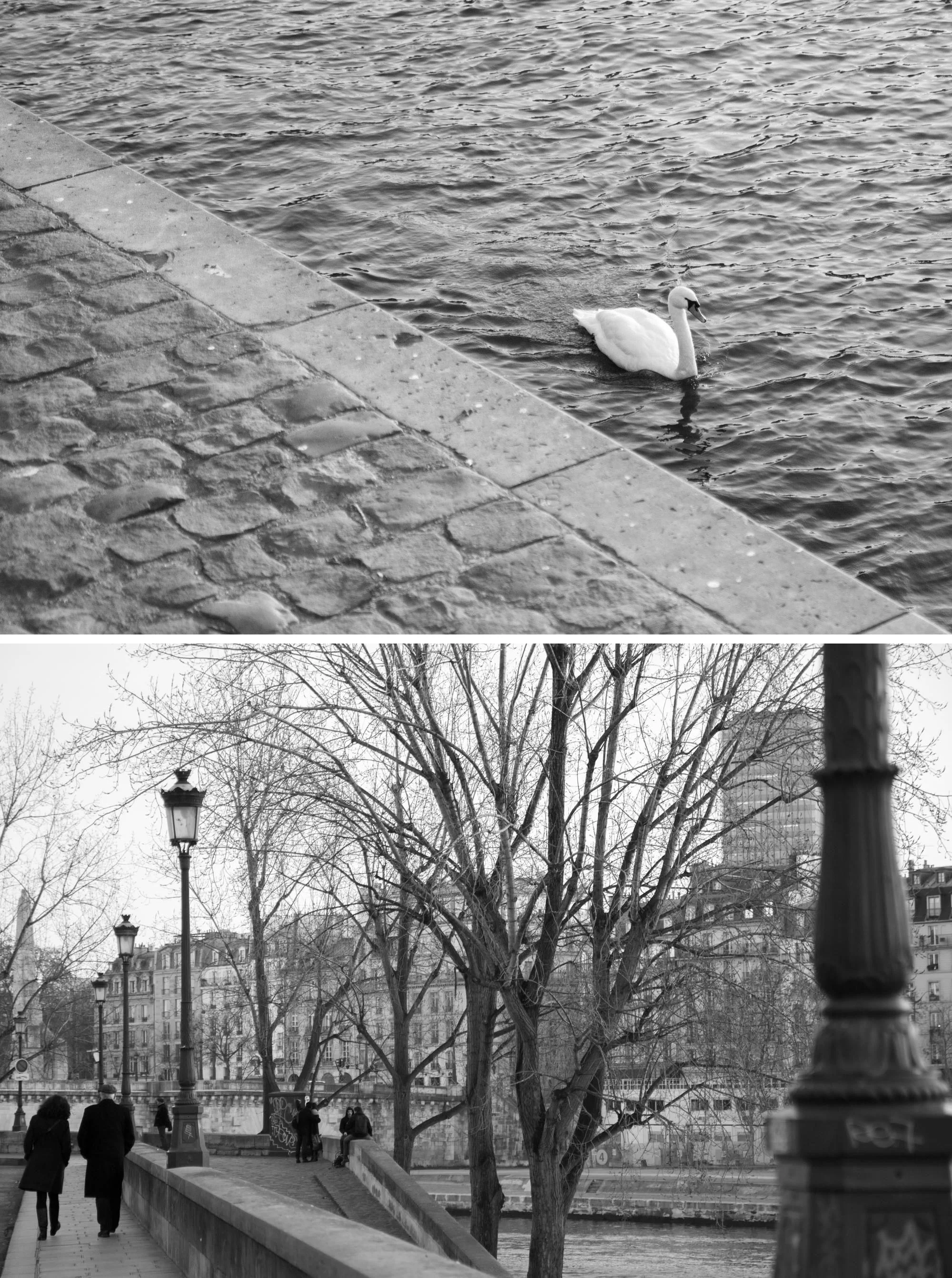 Winter in Paris | Paris black and white photography | Travel photography