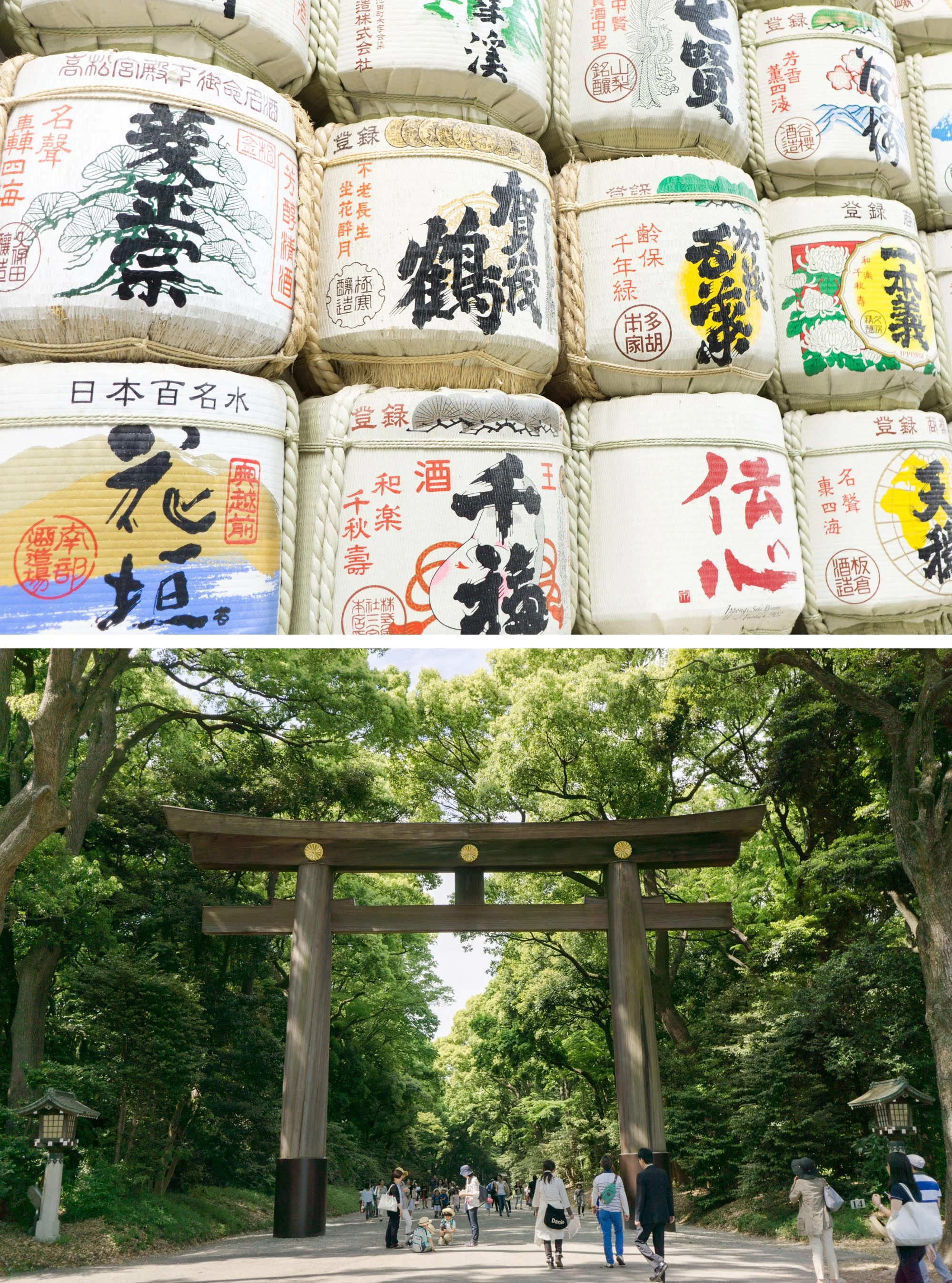 Tokyo Travel Guide | Japan Travel Tips | Experience vibrant Tokyo with this travel guide filled with inspiring travel photography and tips.