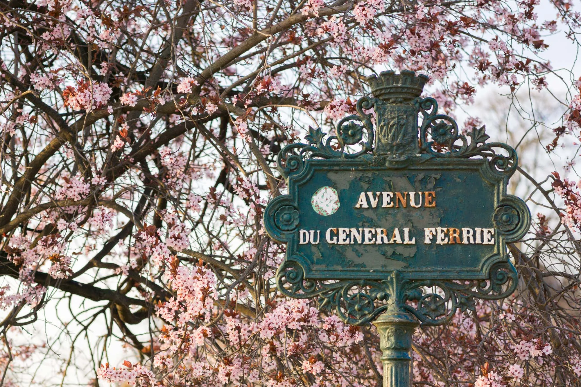 Champ de Mars | Discover where and when to find cherry blossoms and other gorgeous spring blooms with this floral filled, Paris travel guide.