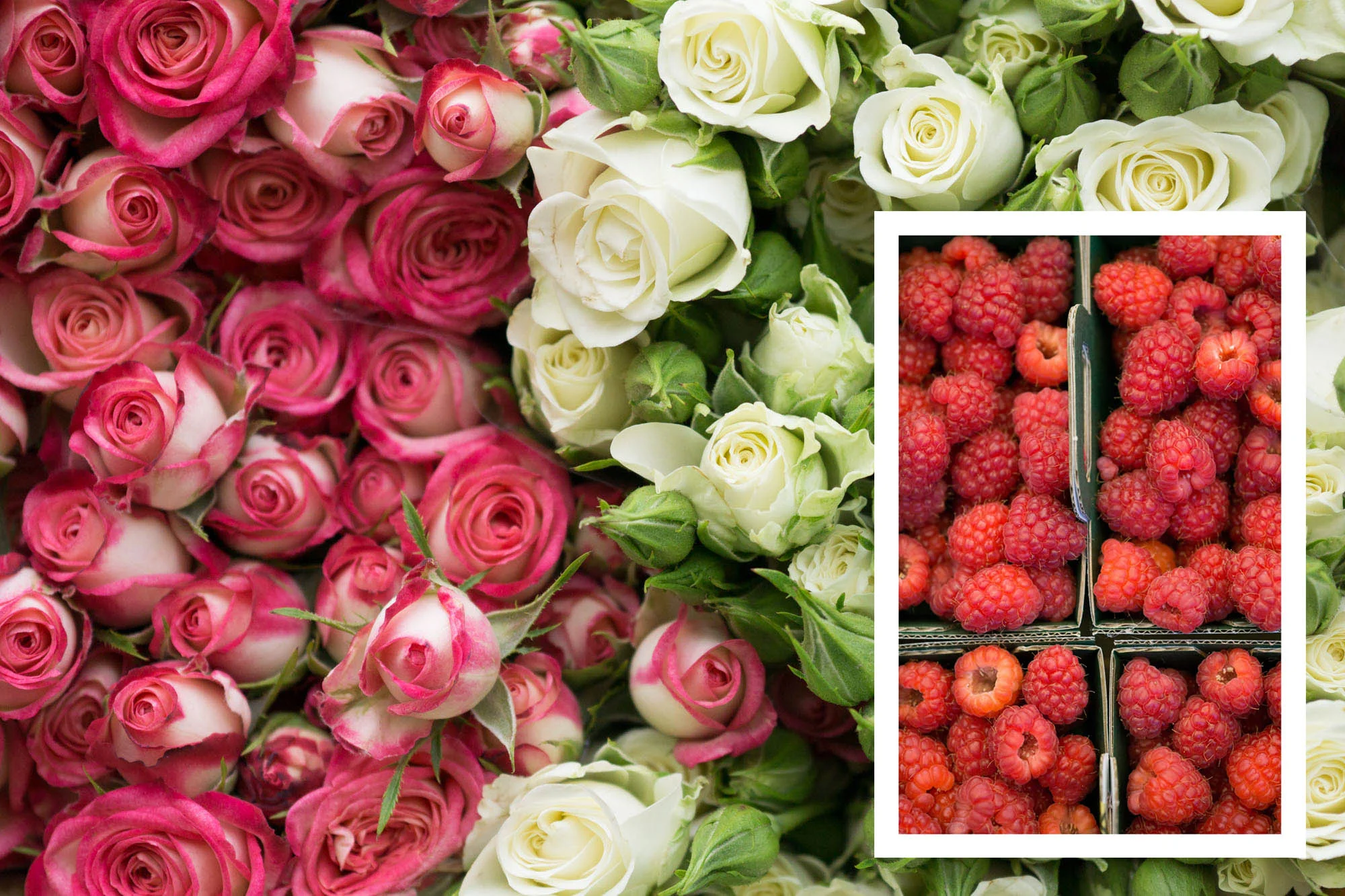 Paris Market Guide | Click through to discover the best Paris Markets to visit with this handy guide, filled with useful tips and wanderlust inducing imagery.