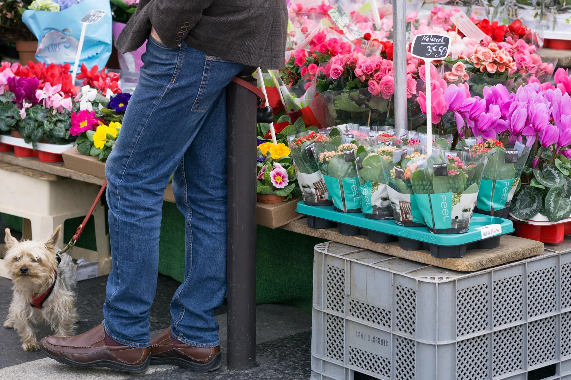 Paris Market Guide | Click through to discover the best Paris Markets to visit with this handy guide, filled with useful tips and wanderlust inducing imagery.