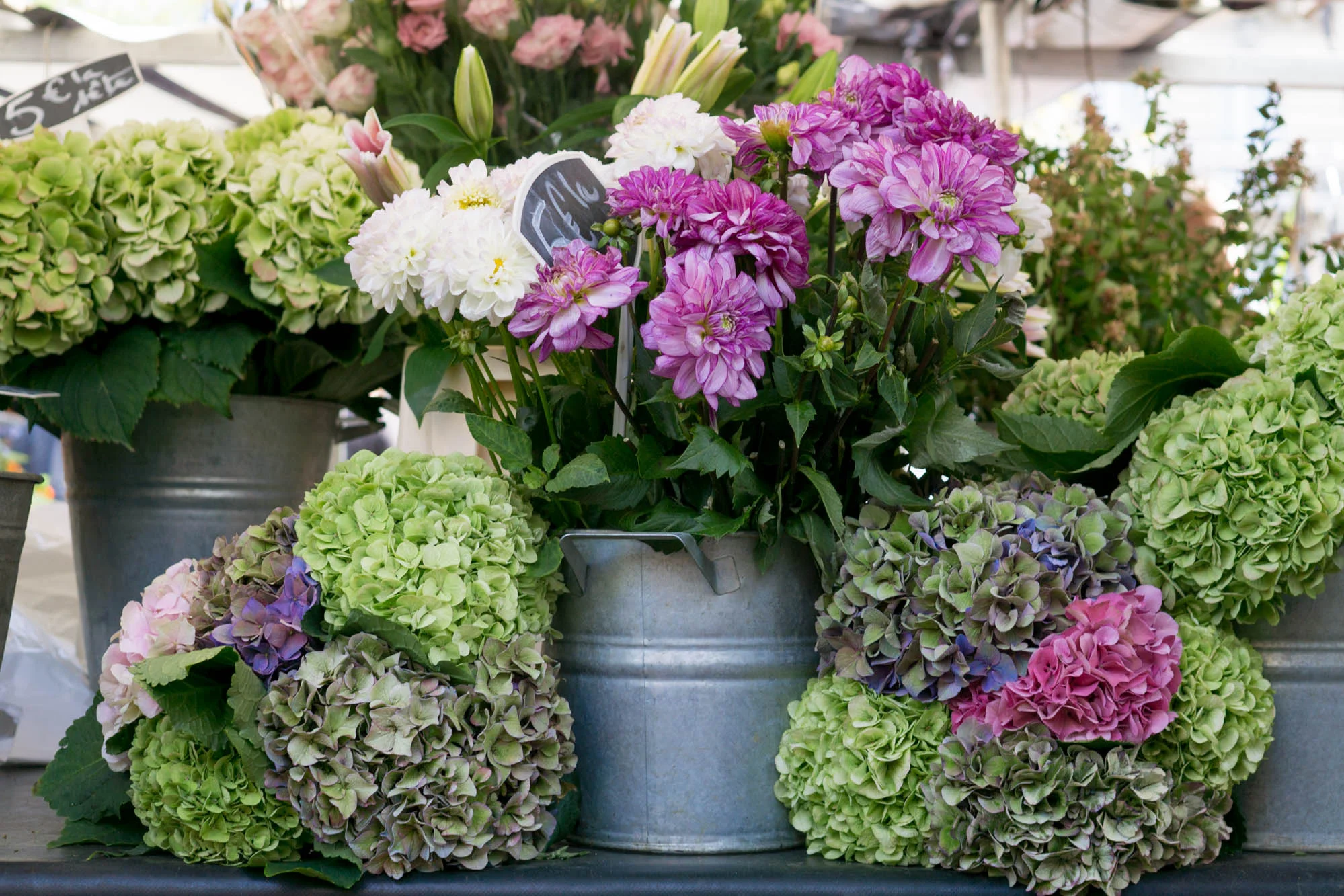 Paris Market Guide | Click through to discover the best Paris Markets to visit with this handy guide, filled with useful tips and wanderlust inducing imagery.