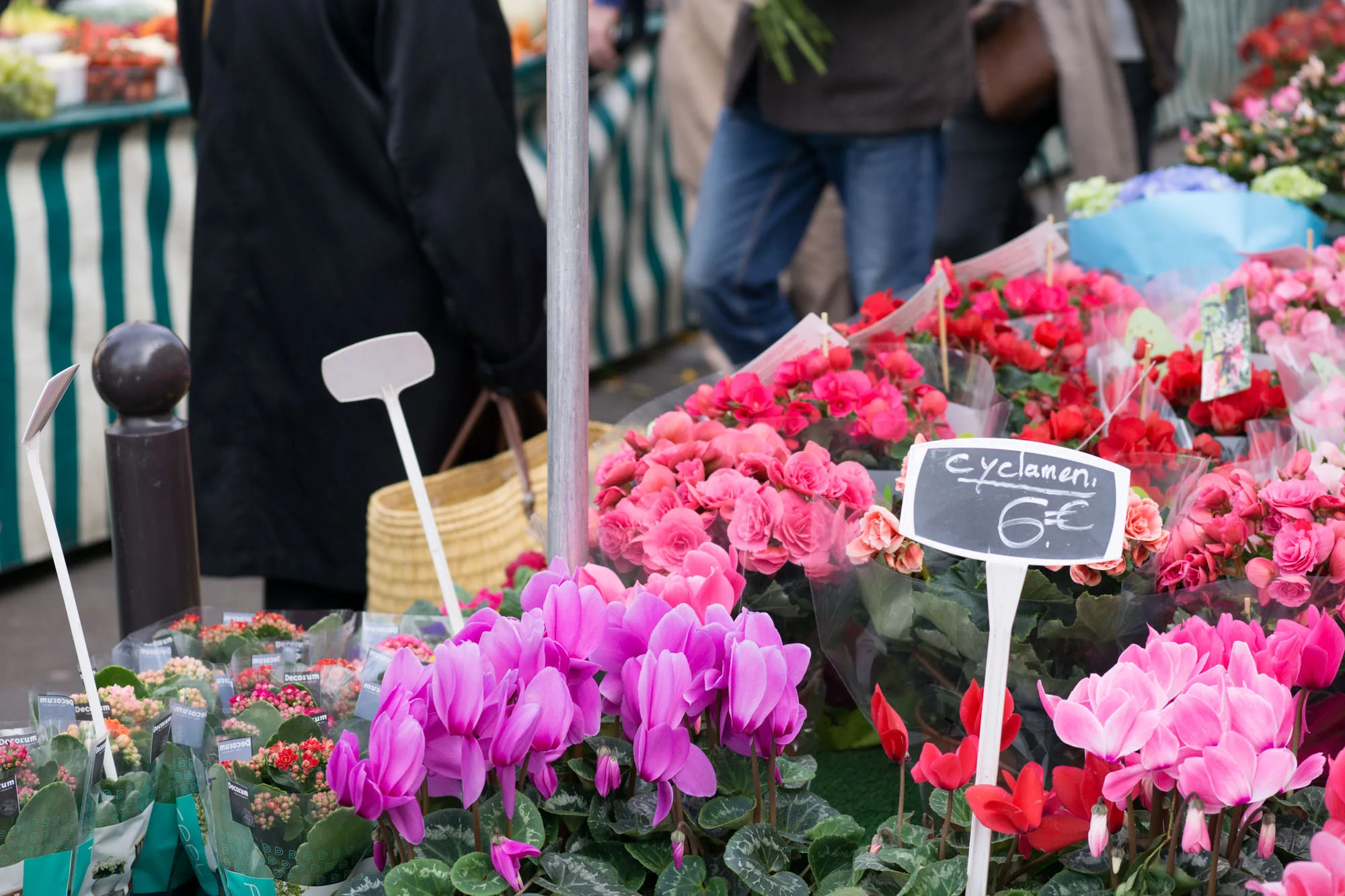 Paris Market Guide | Click through to discover the best Paris Markets to visit with this handy guide, filled with useful tips and wanderlust inducing imagery.