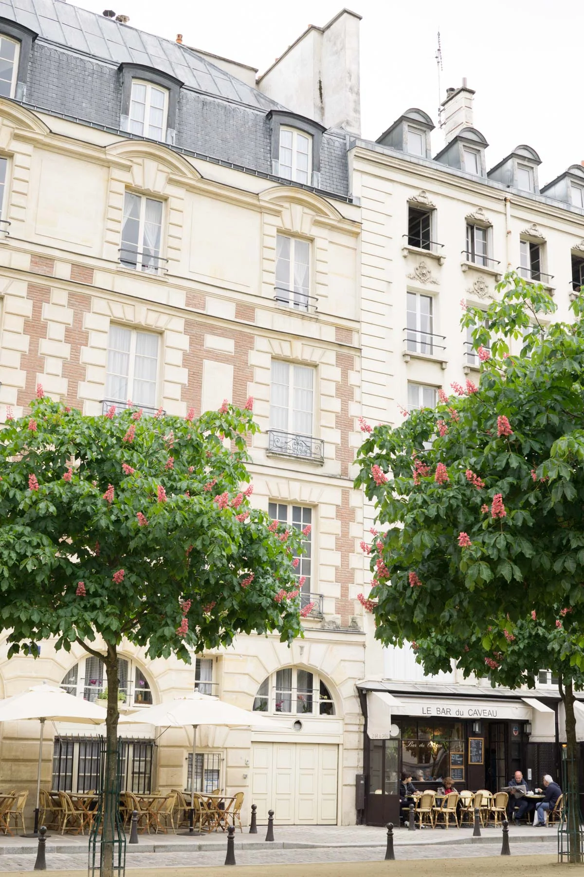 Love flowers and the city of light? Discover the best places in Paris to experience beautiful spring blooms with this floral filled travel guide. | Paris Spring Flower Guide | Paris Travel Tips