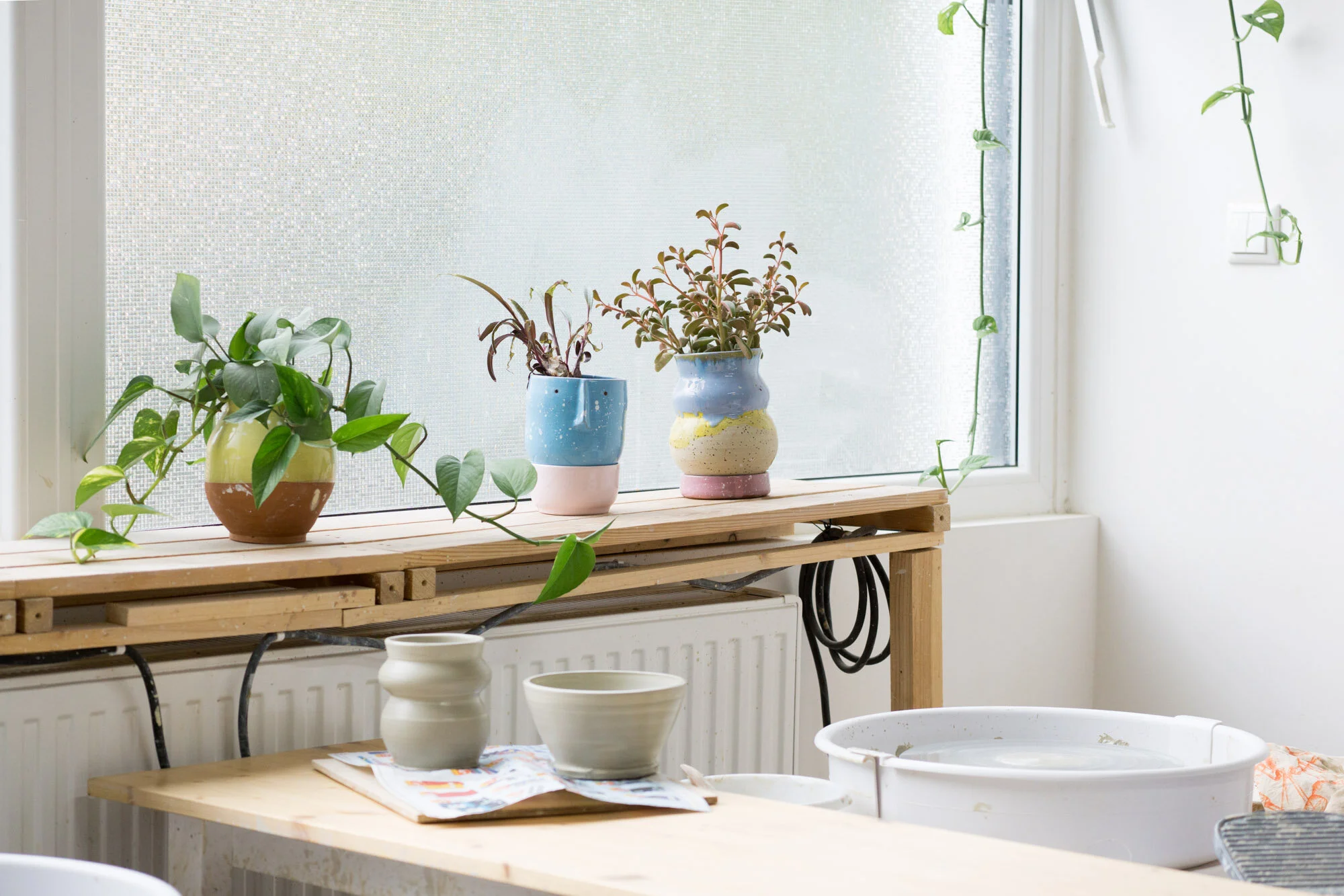 Sydney+Branding+Photographer_Christie+Moore+Photography_Moss+Keramik+Pottery-1.jpg
