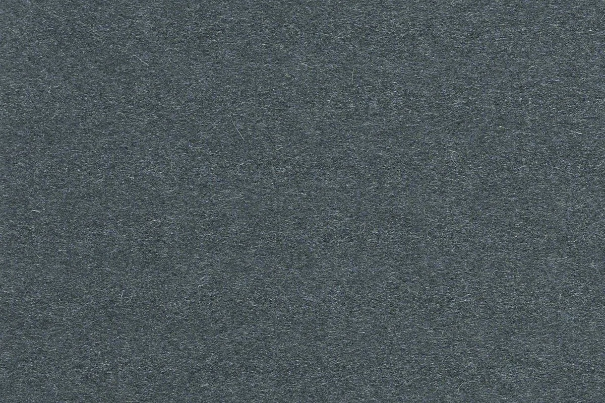 D3181