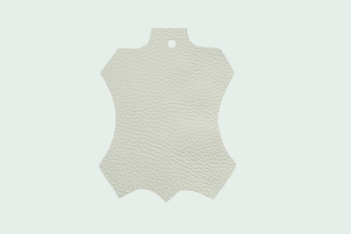 SOFT7010
