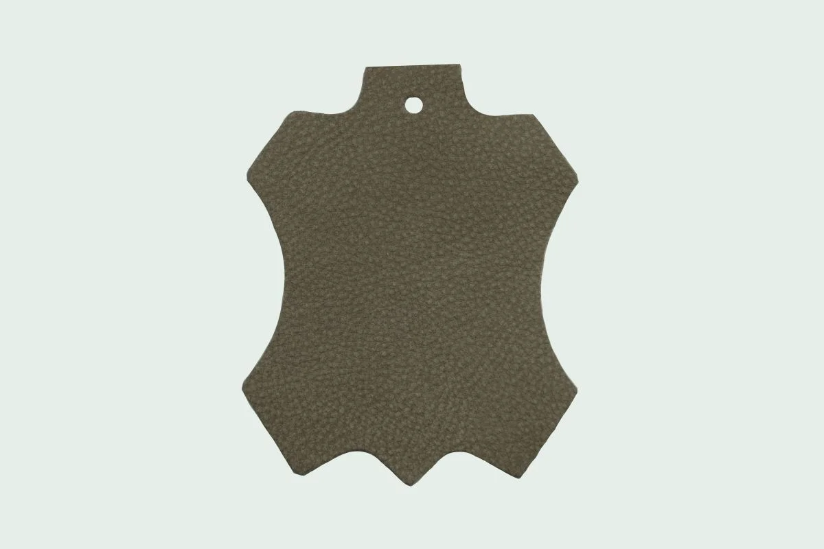 CAMOSCIO60