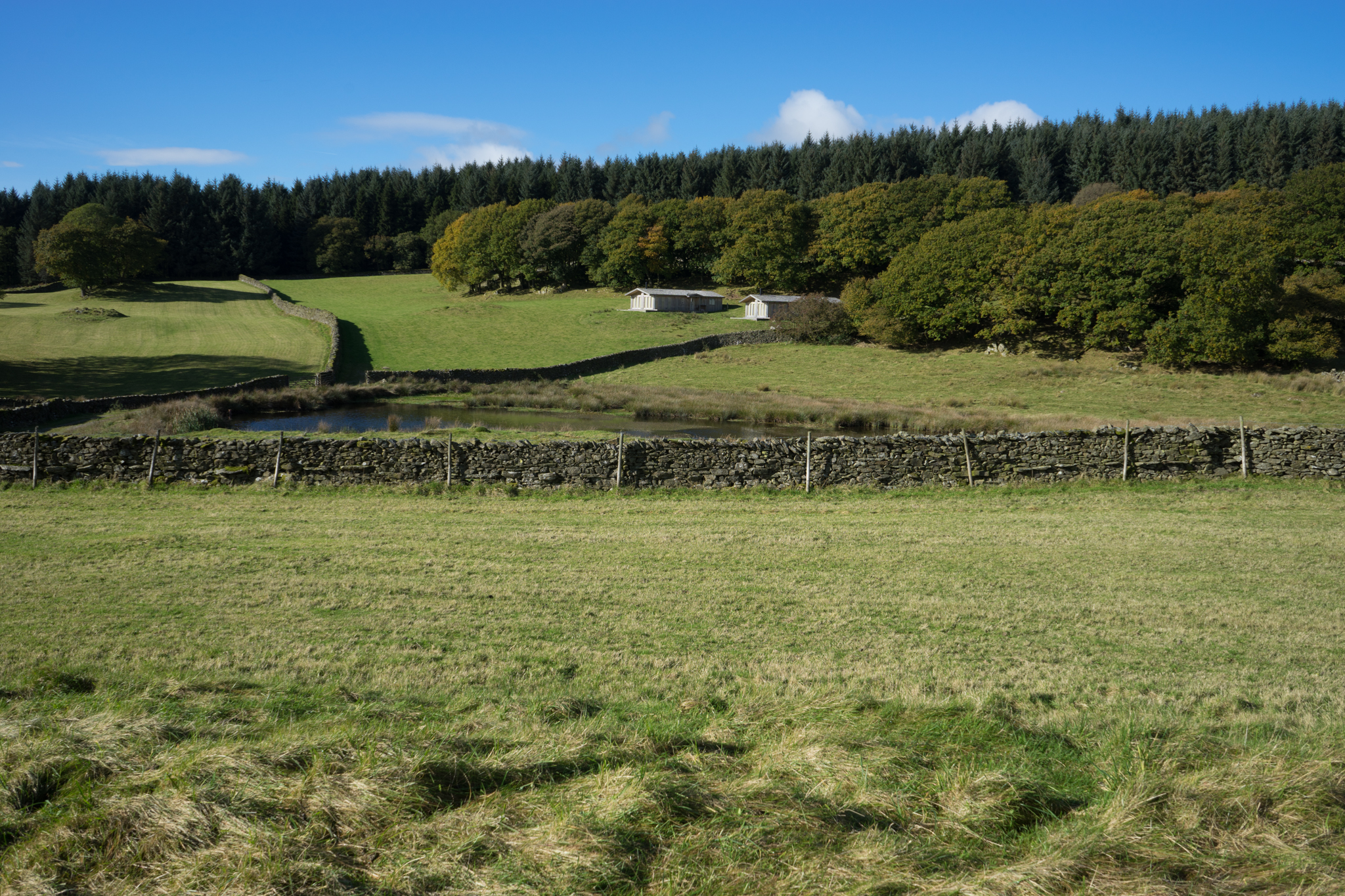 DSC07801-3.jpg
