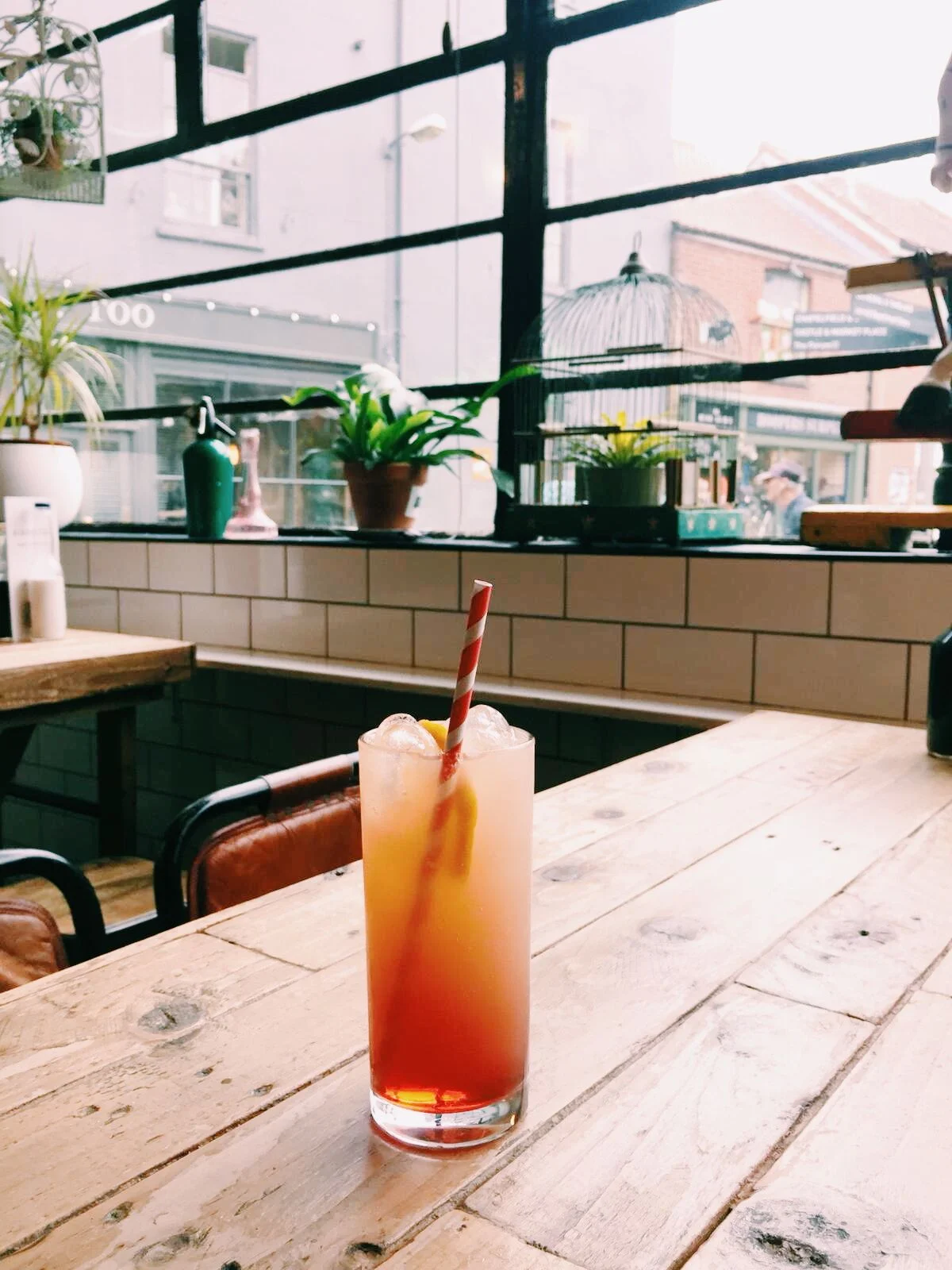 cocktail1.jpg