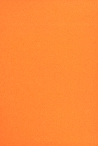 Whitney Summer of Love (verso), 2007