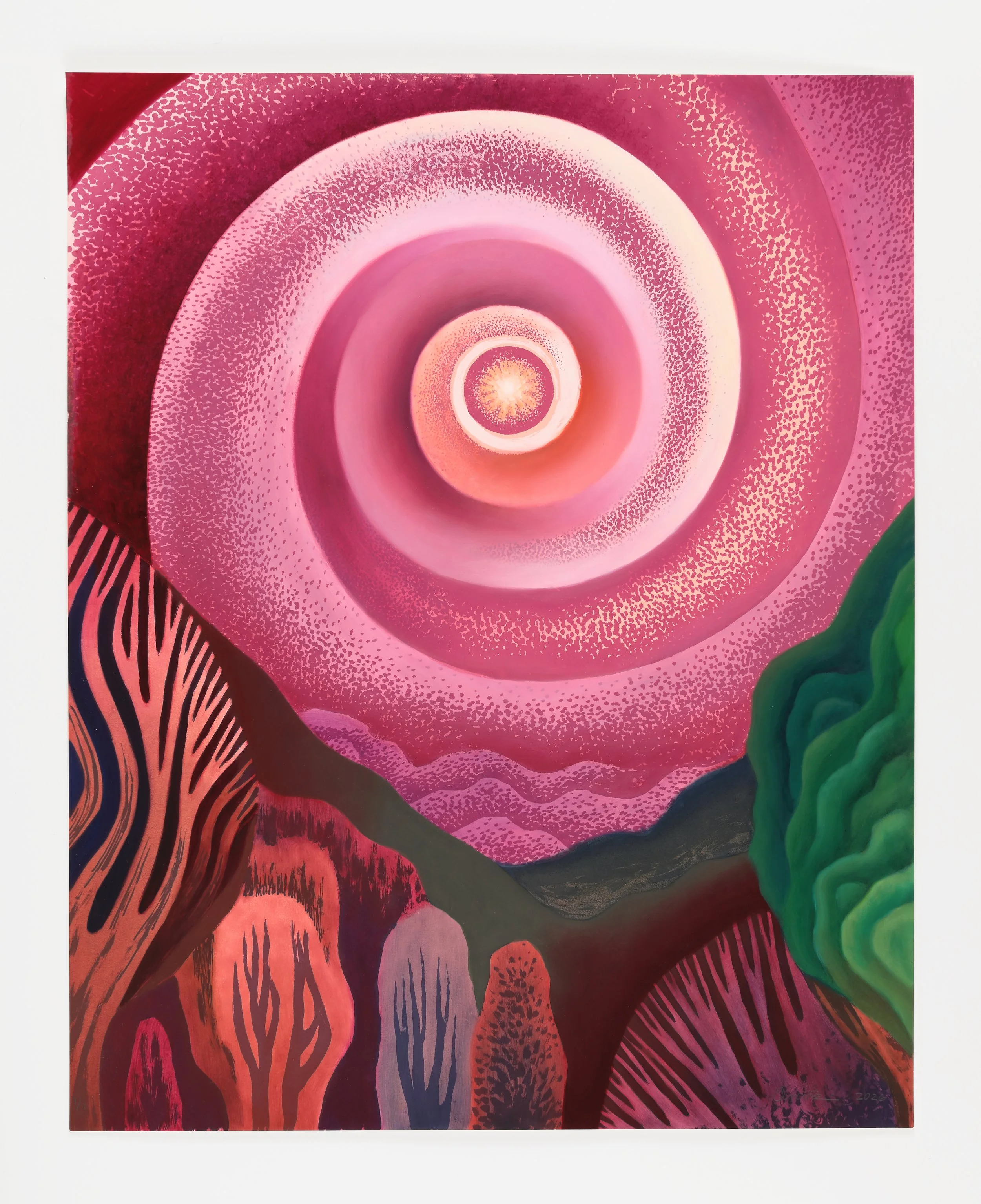 NOVA (MAGENTA), 2026