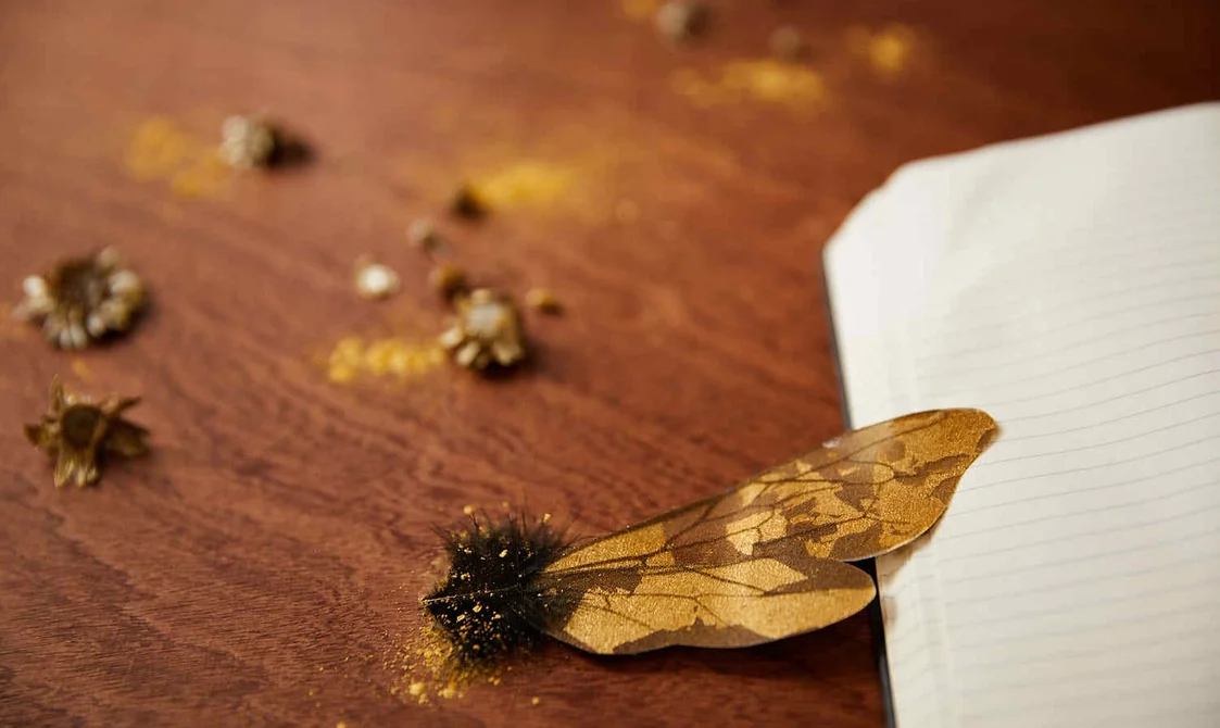 Punchdrunk Enrichment 