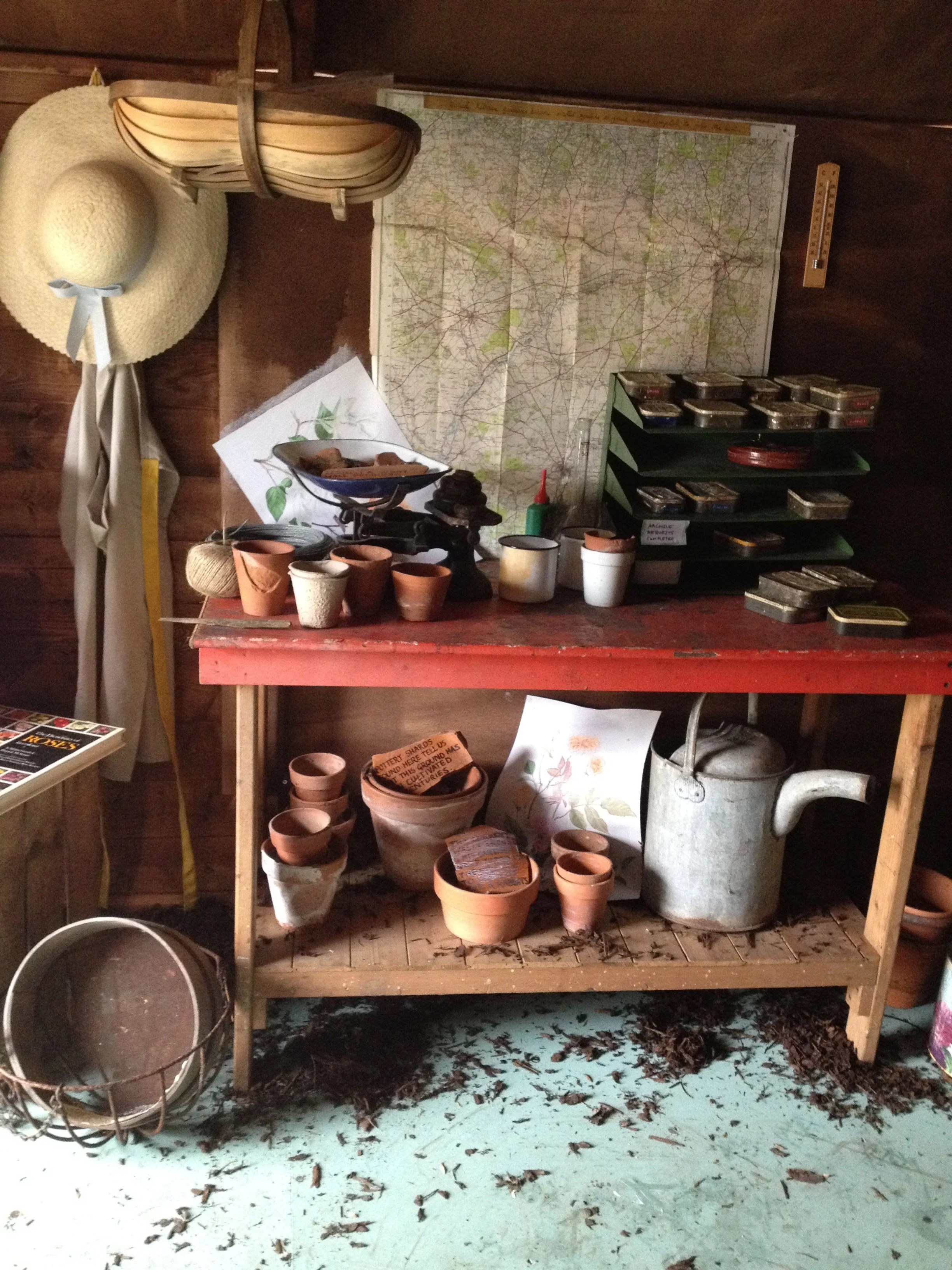 Library - 1 of 1 (1).jpeg