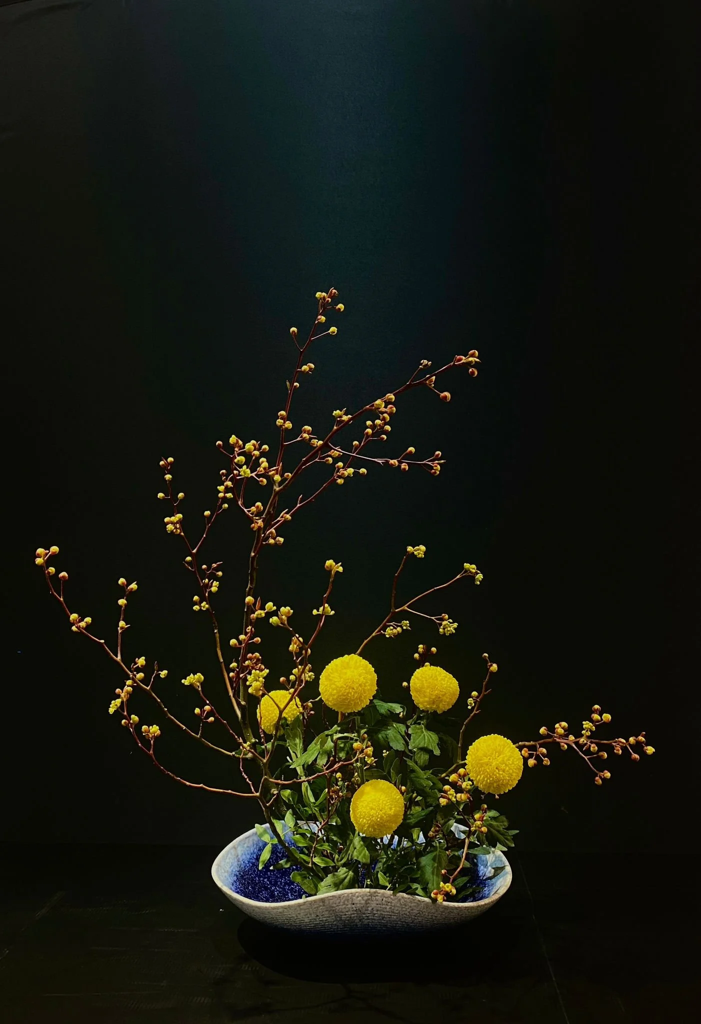 WhatsApp Image 2023-03-10 at 12.23.12 AM.jpeg