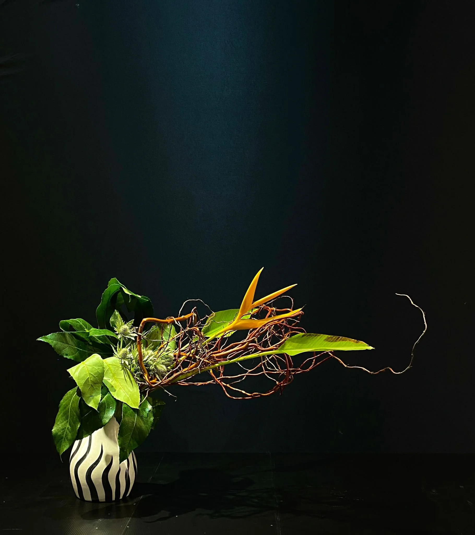 WhatsApp Image 2023-04-11 at 11.26.45 PM.jpeg