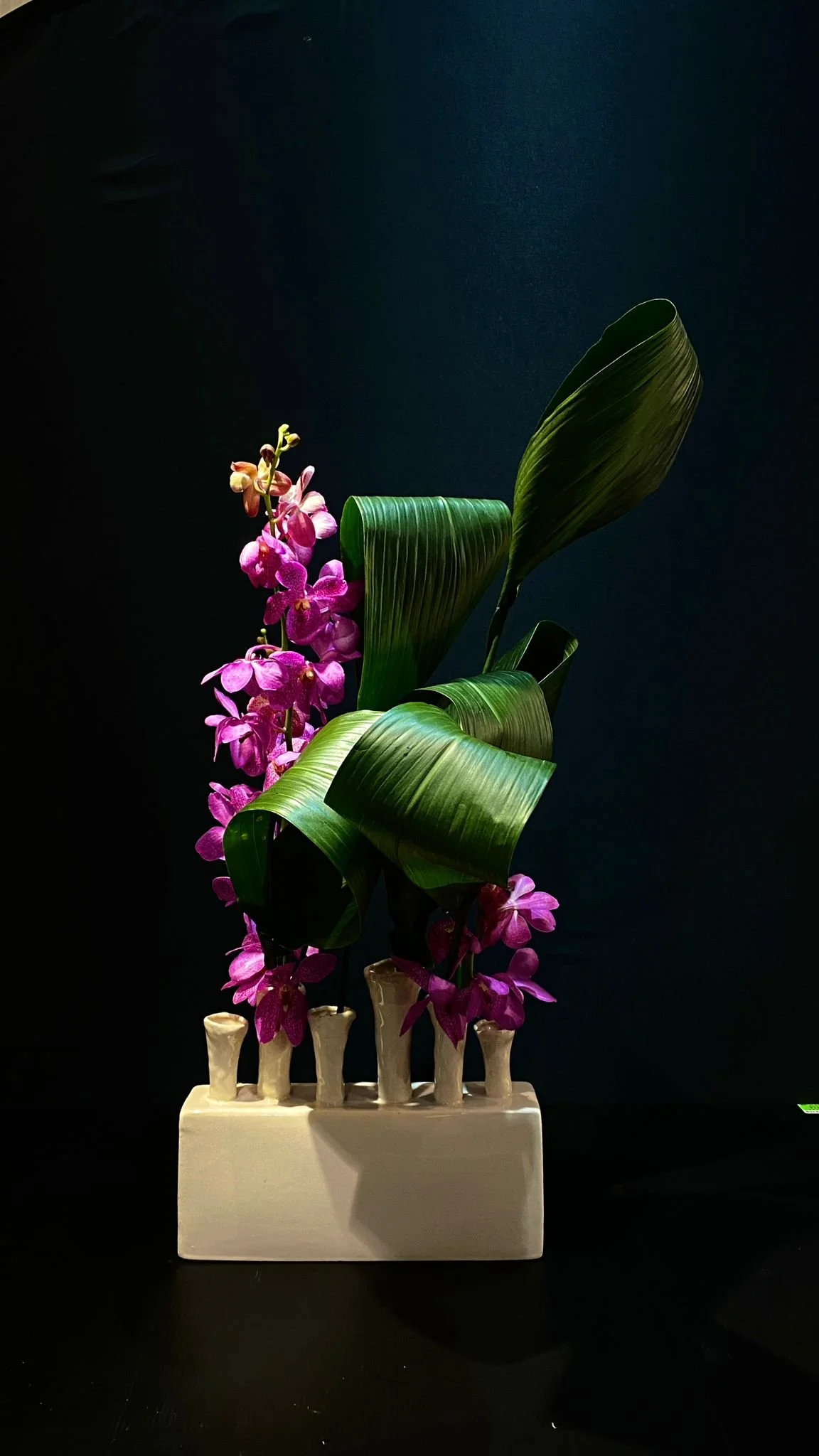 WhatsApp Image 2023-04-11 at 11.26.54 PM.jpeg