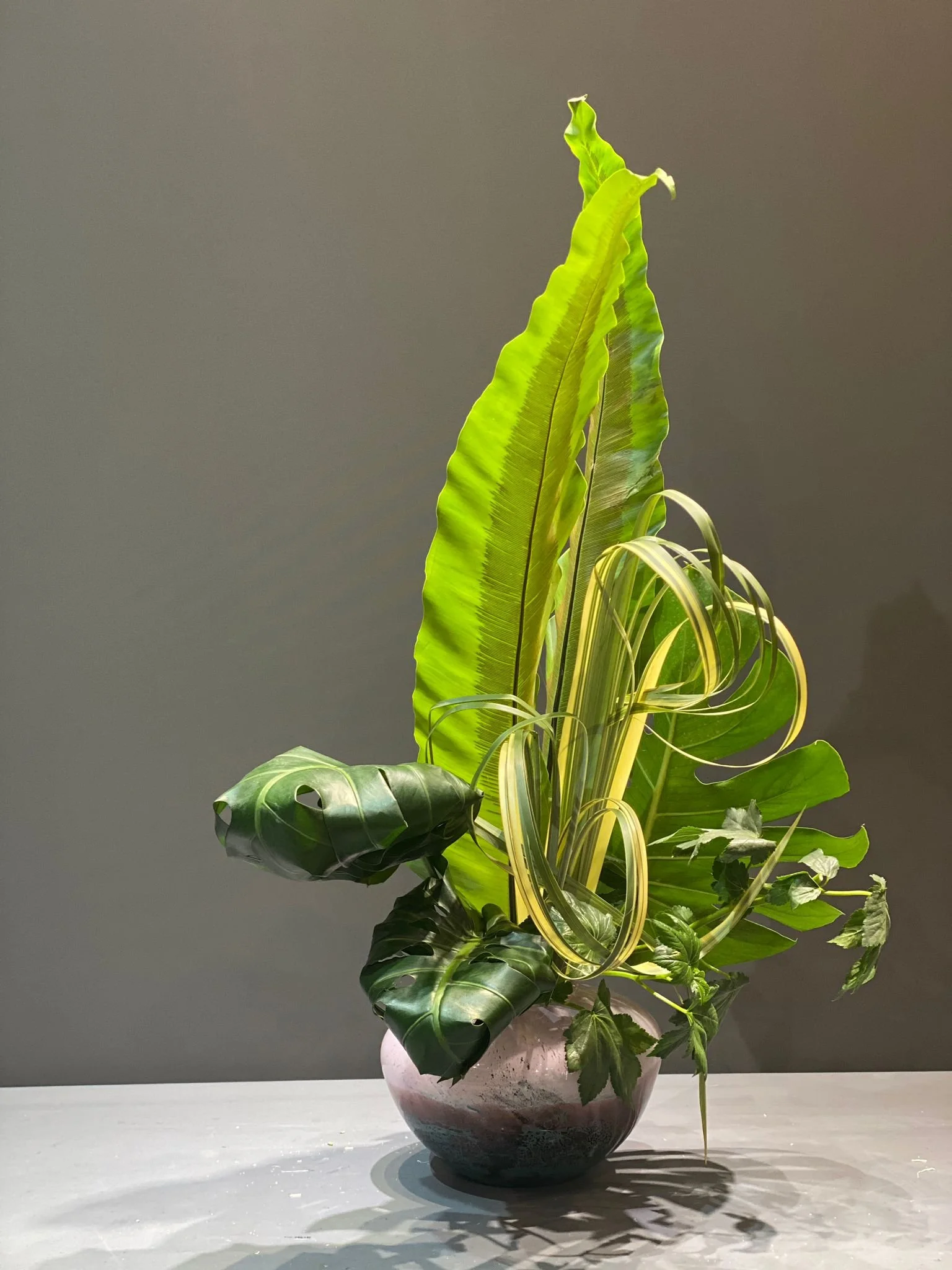 WhatsApp Image 2023-05-27 at 4.24.05 PM.jpeg