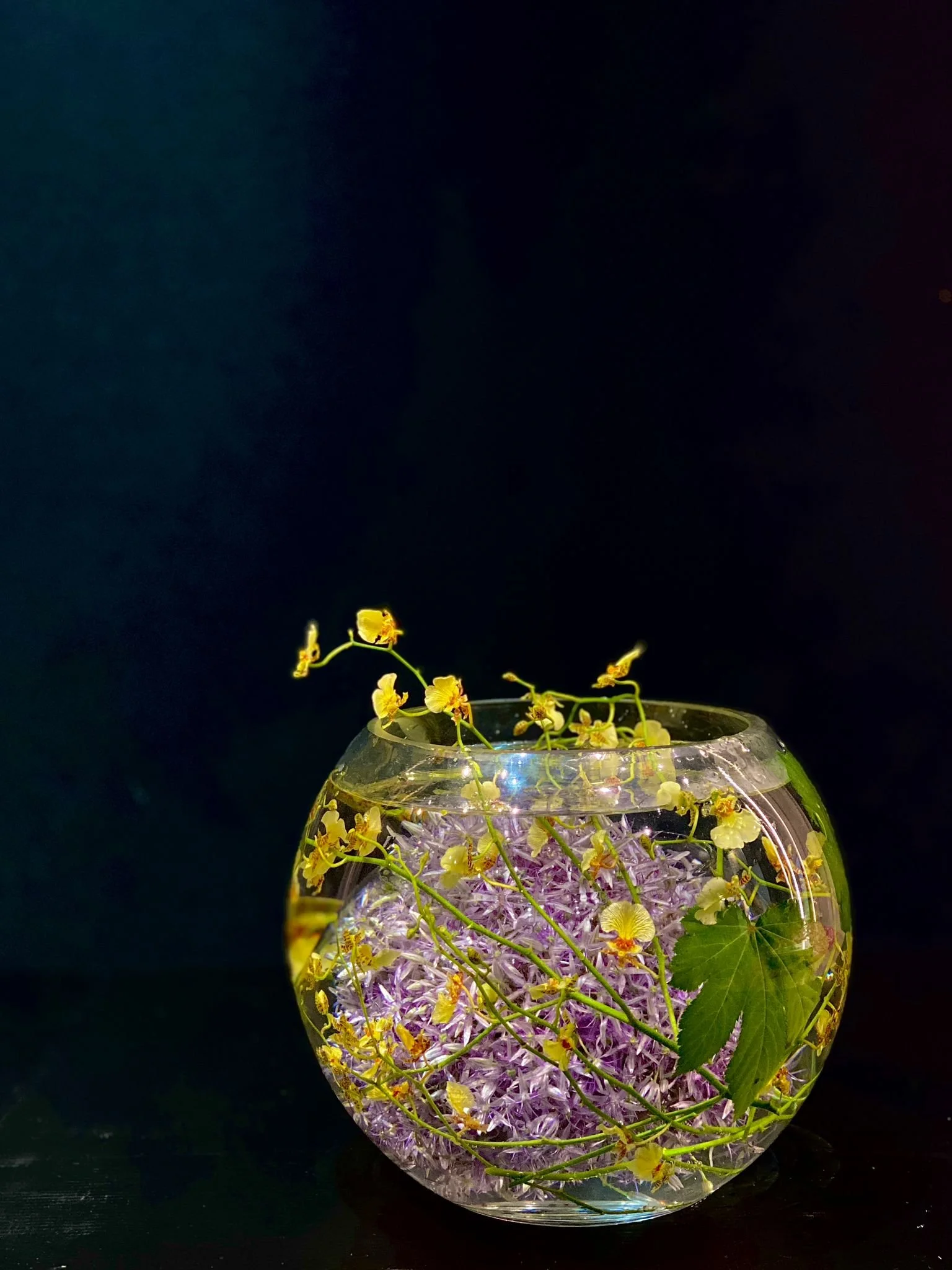 WhatsApp Image 2023-06-03 at 6.54.30 PM.jpeg