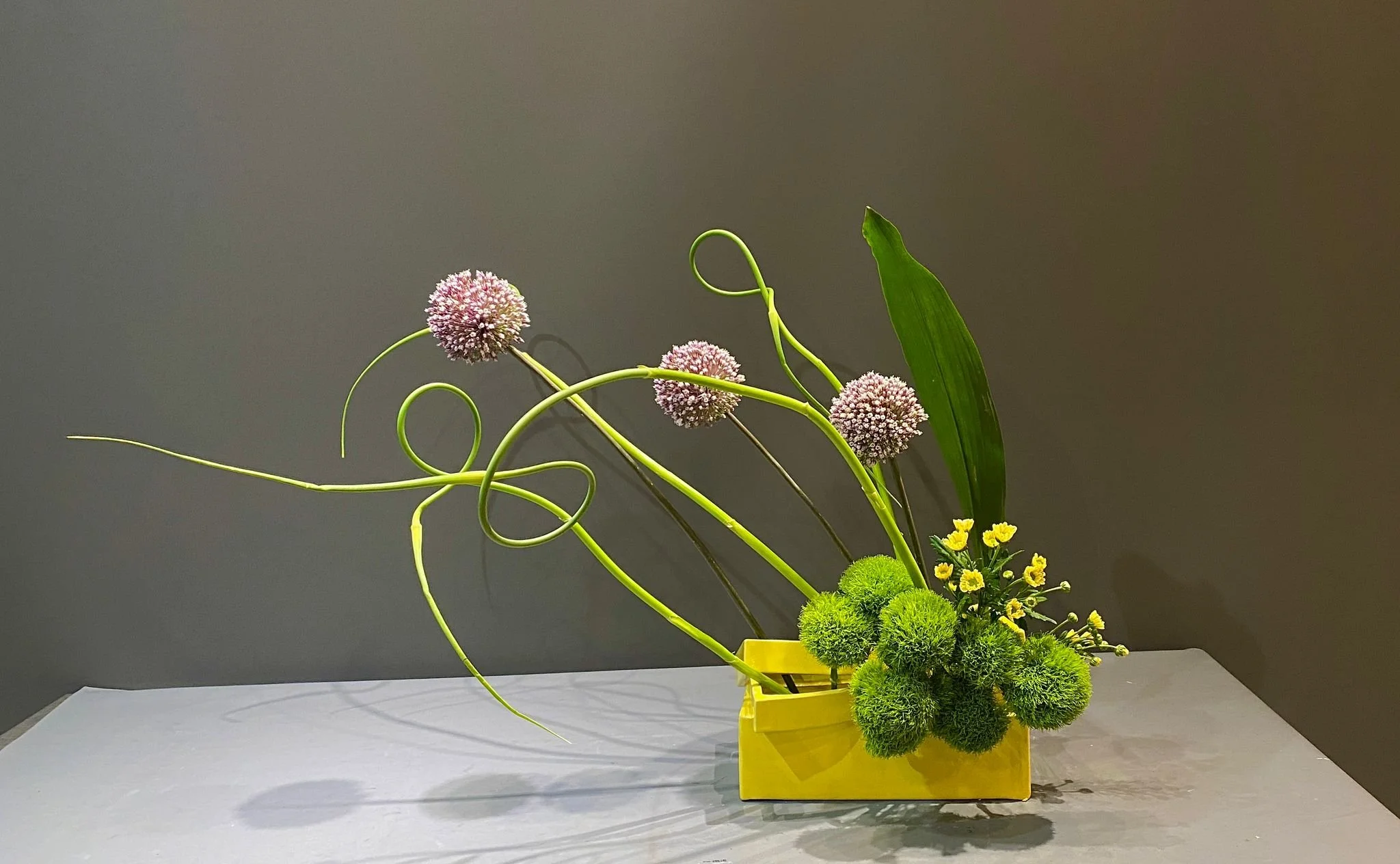 WhatsApp Image 2023-06-13 at 5.15.24 PM.jpeg