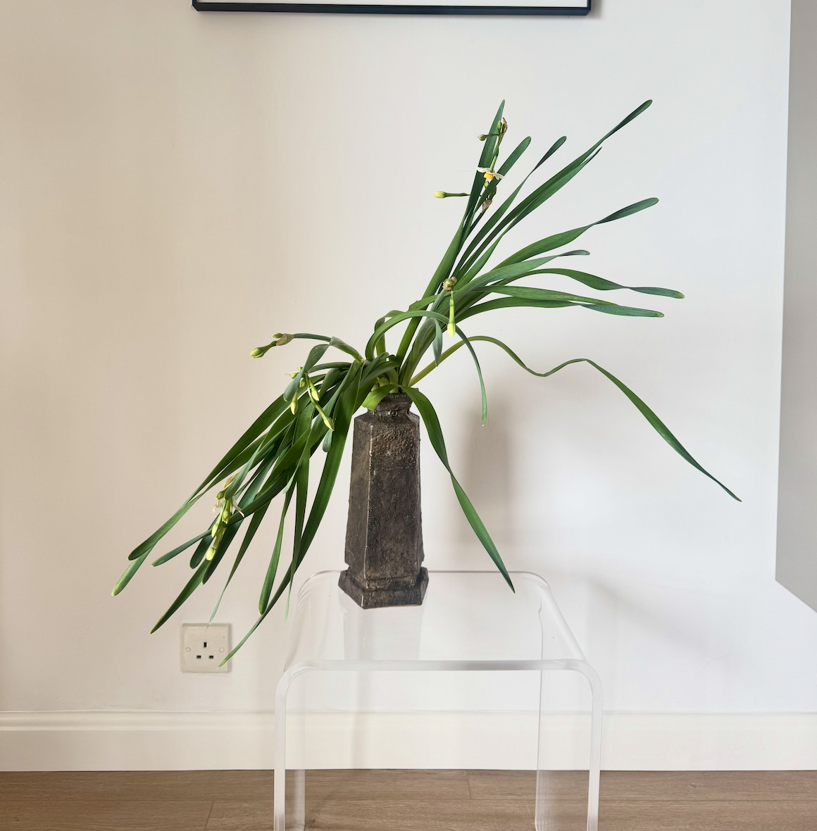 Screenshot 2026-03-12 at 11.32.31 AM.png