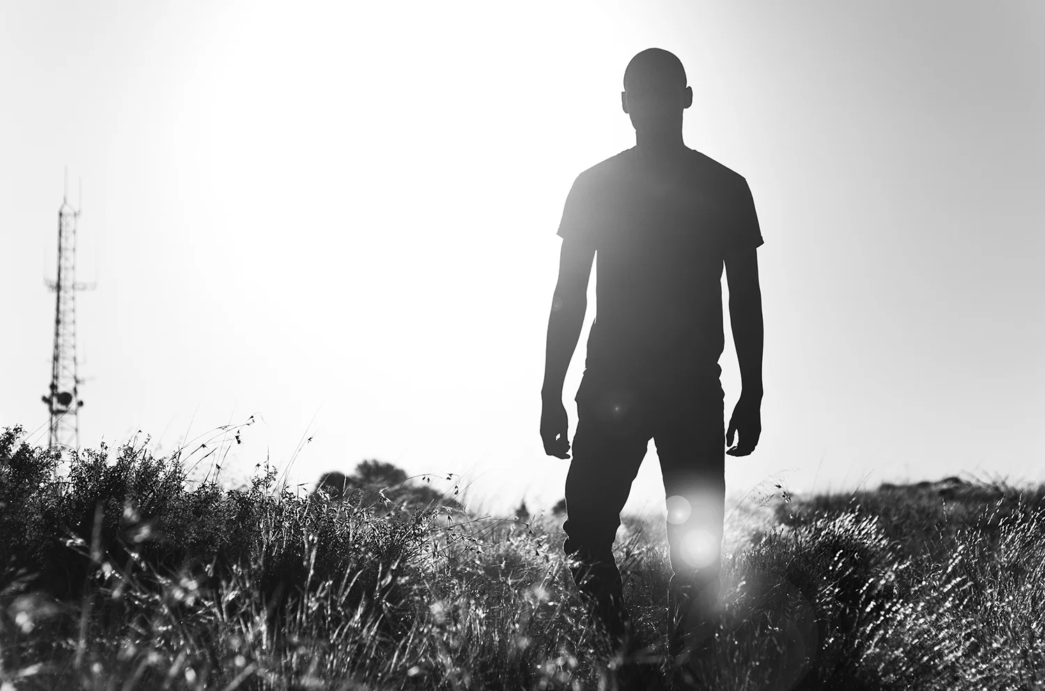 Silhouette