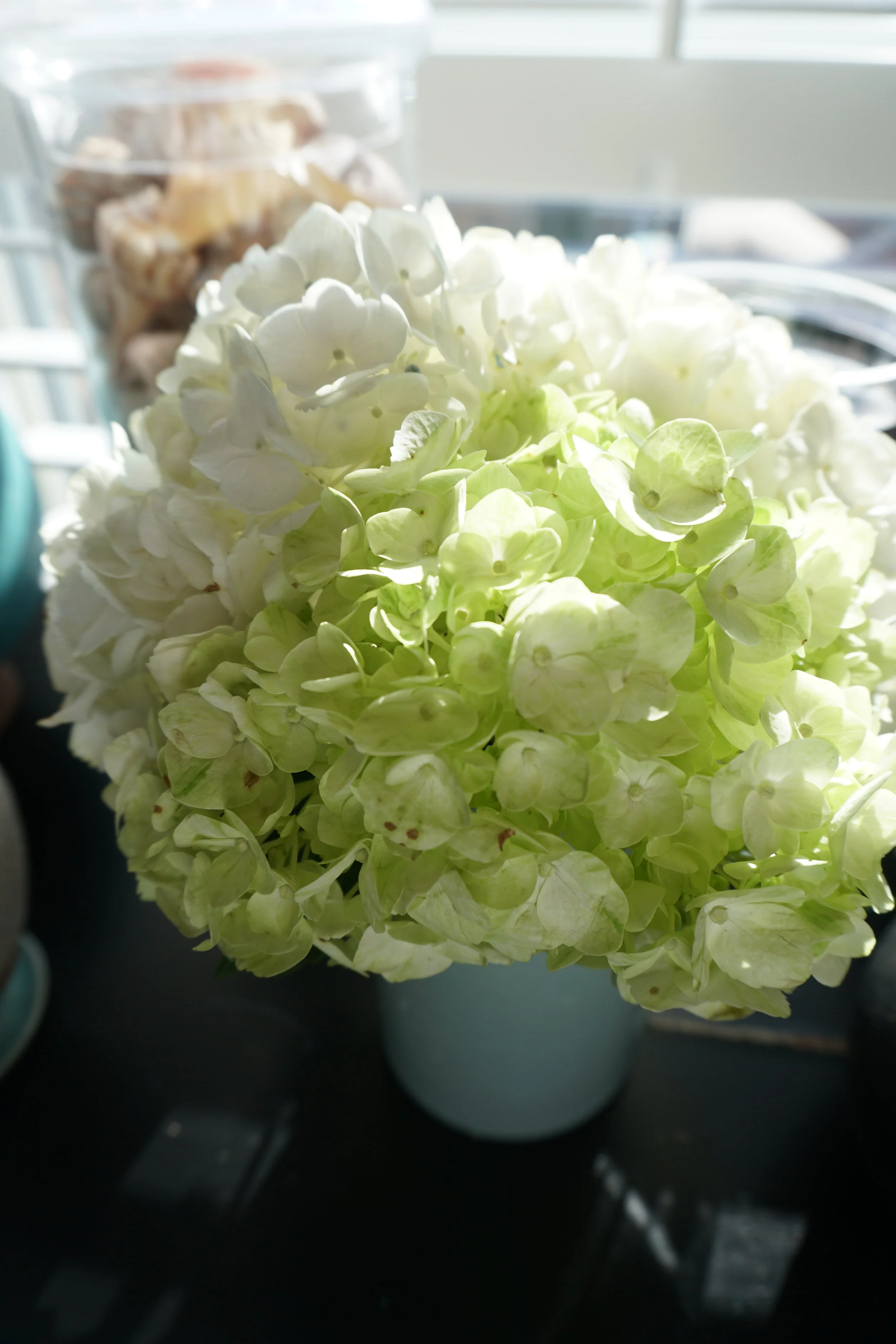 Long Lasting Hydrangea Arrangements Flair Balanced