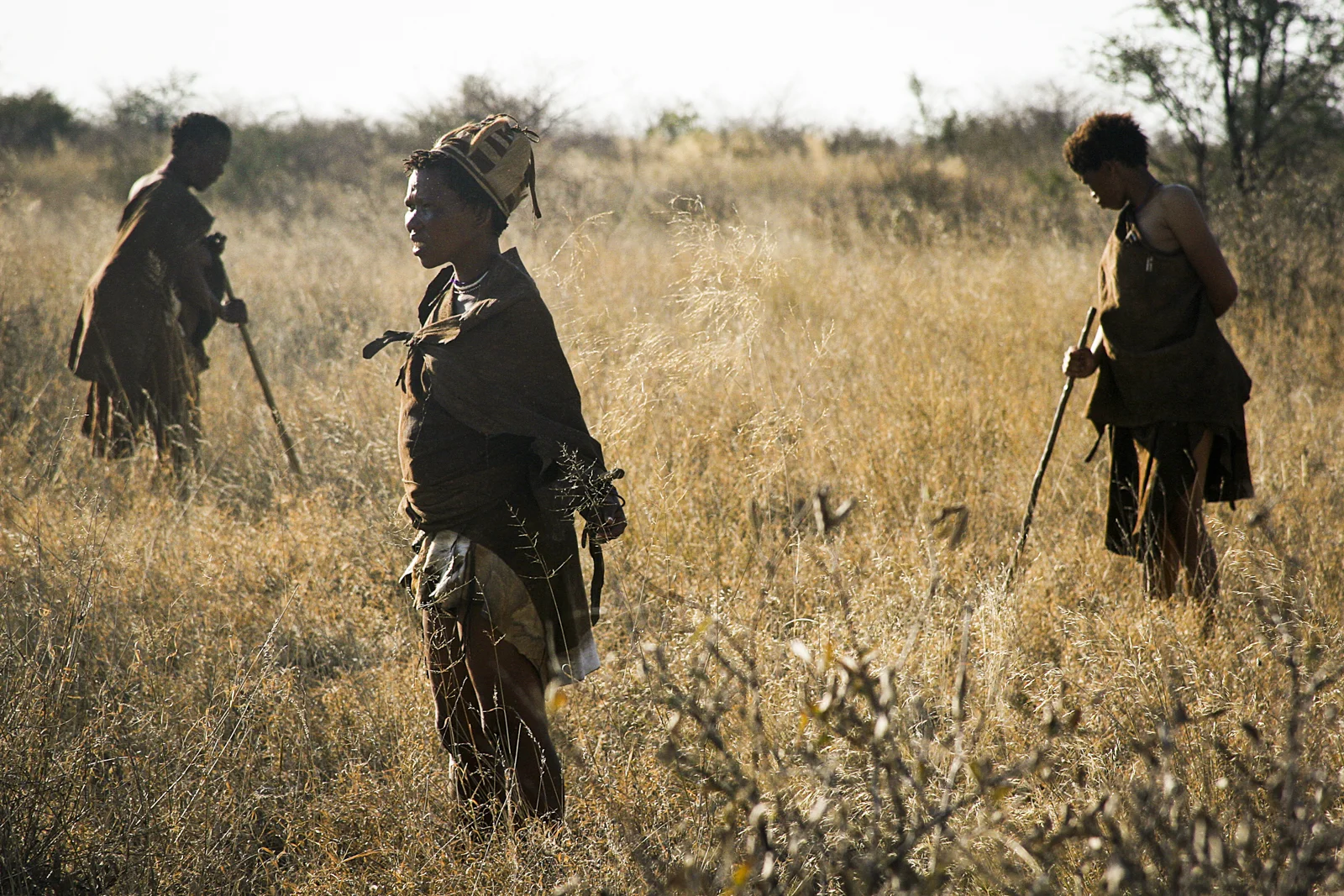San Bushmen in the Kalahari Desert, Namibia