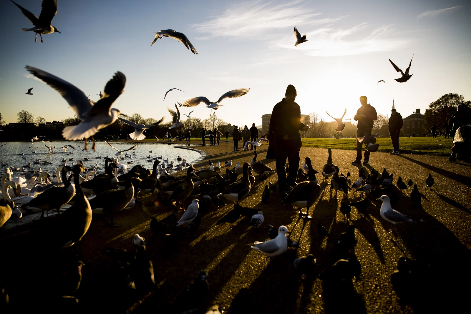 Kensington Gardens