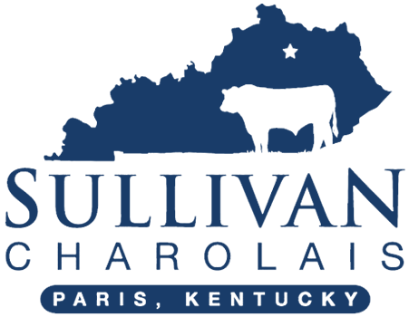 Sullivan Charolais | Award Winning Genetics for Any Herd
