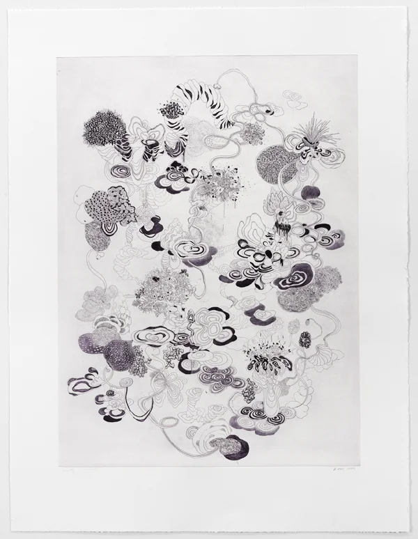 Plates and Fault Lines II