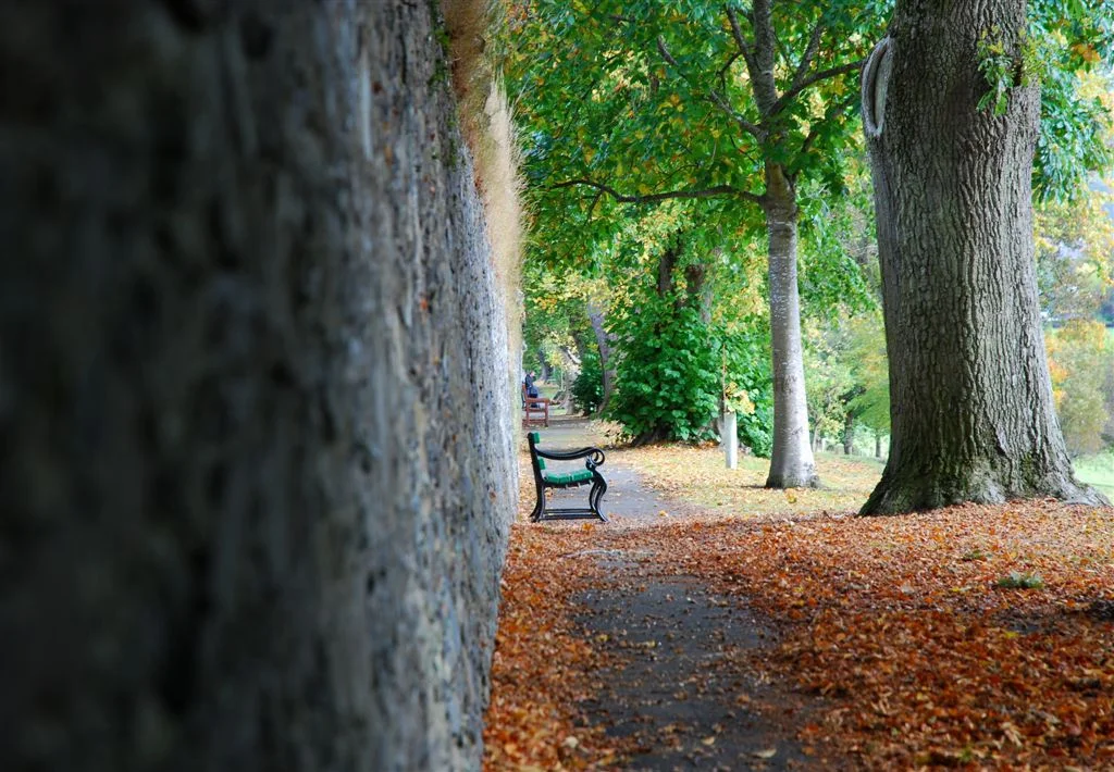 61. Hay Lodge Park, Peebles.JPG