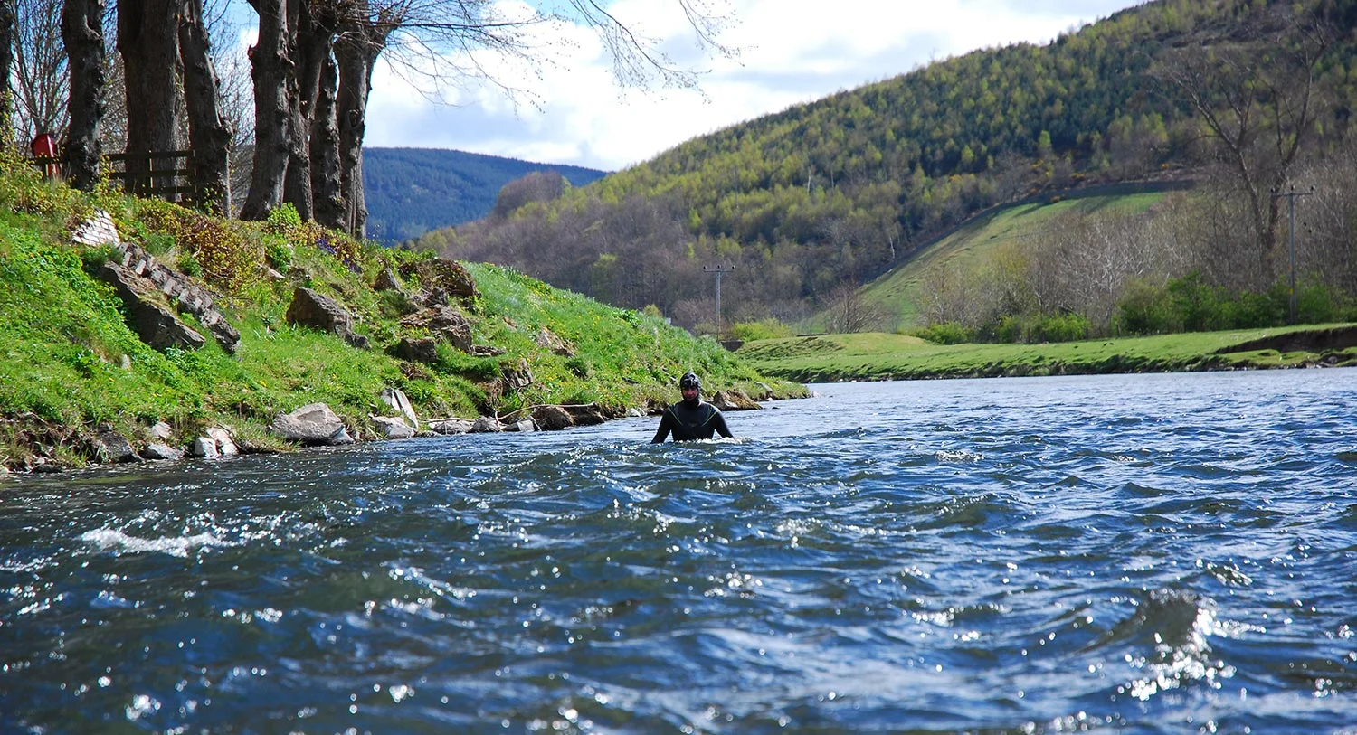 Swimming the Tweed