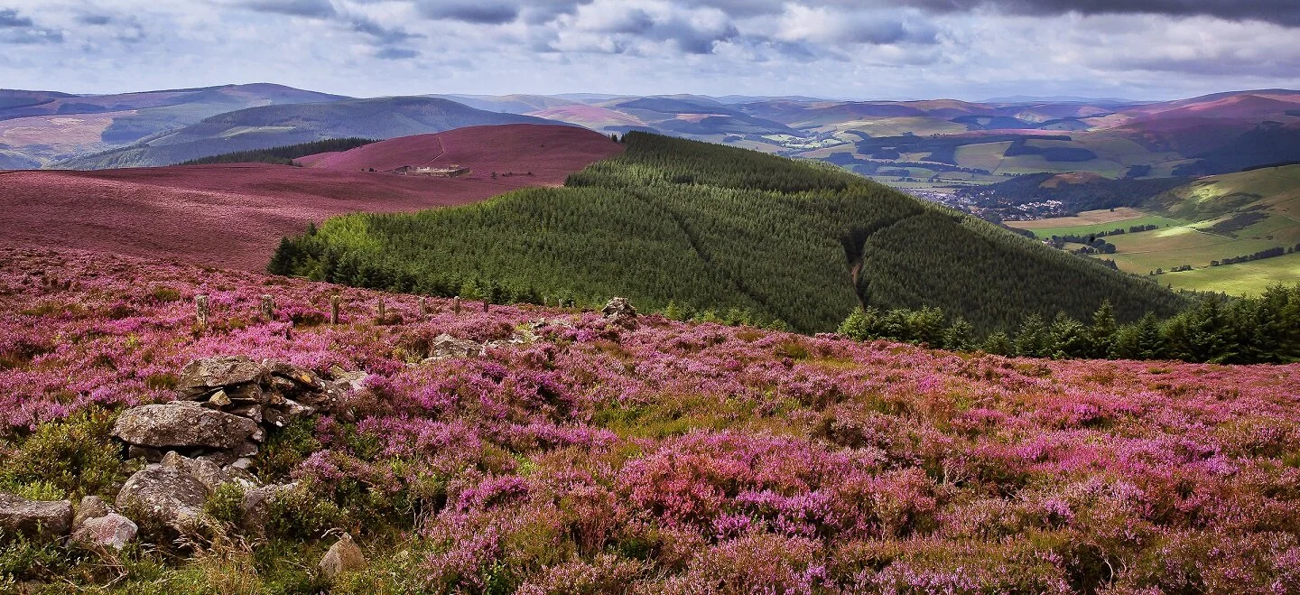 Tweed Valley views. Photo: Ian Linton Photography