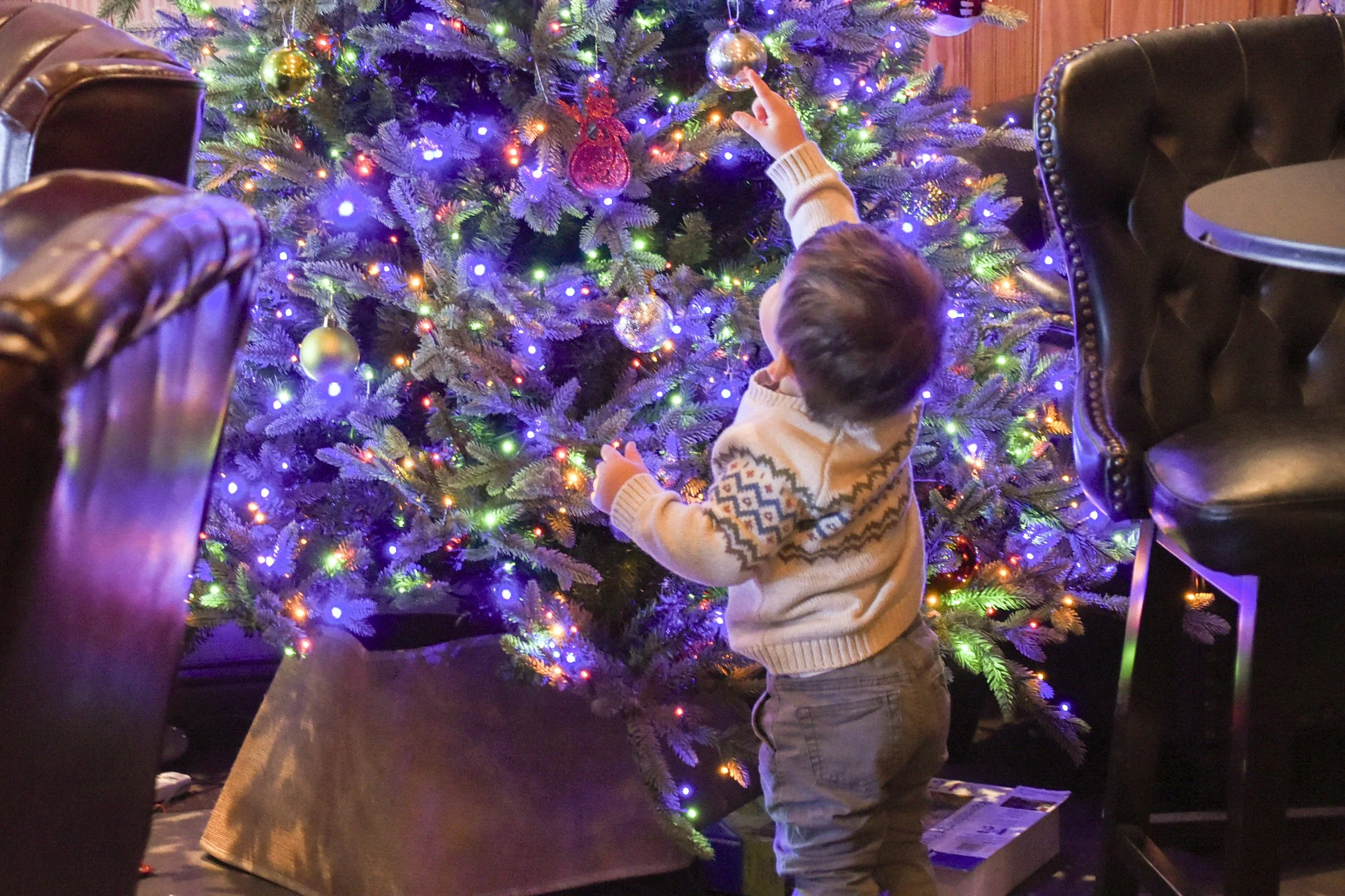 child with christmas tree.jpg