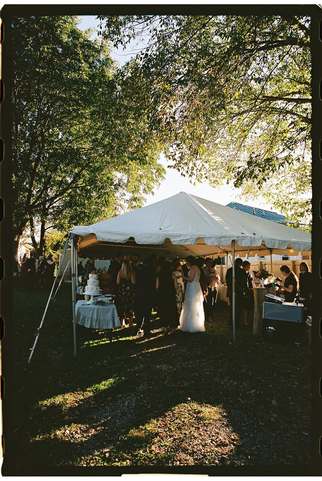 backyard wedding with a white tent in roanoke virginia