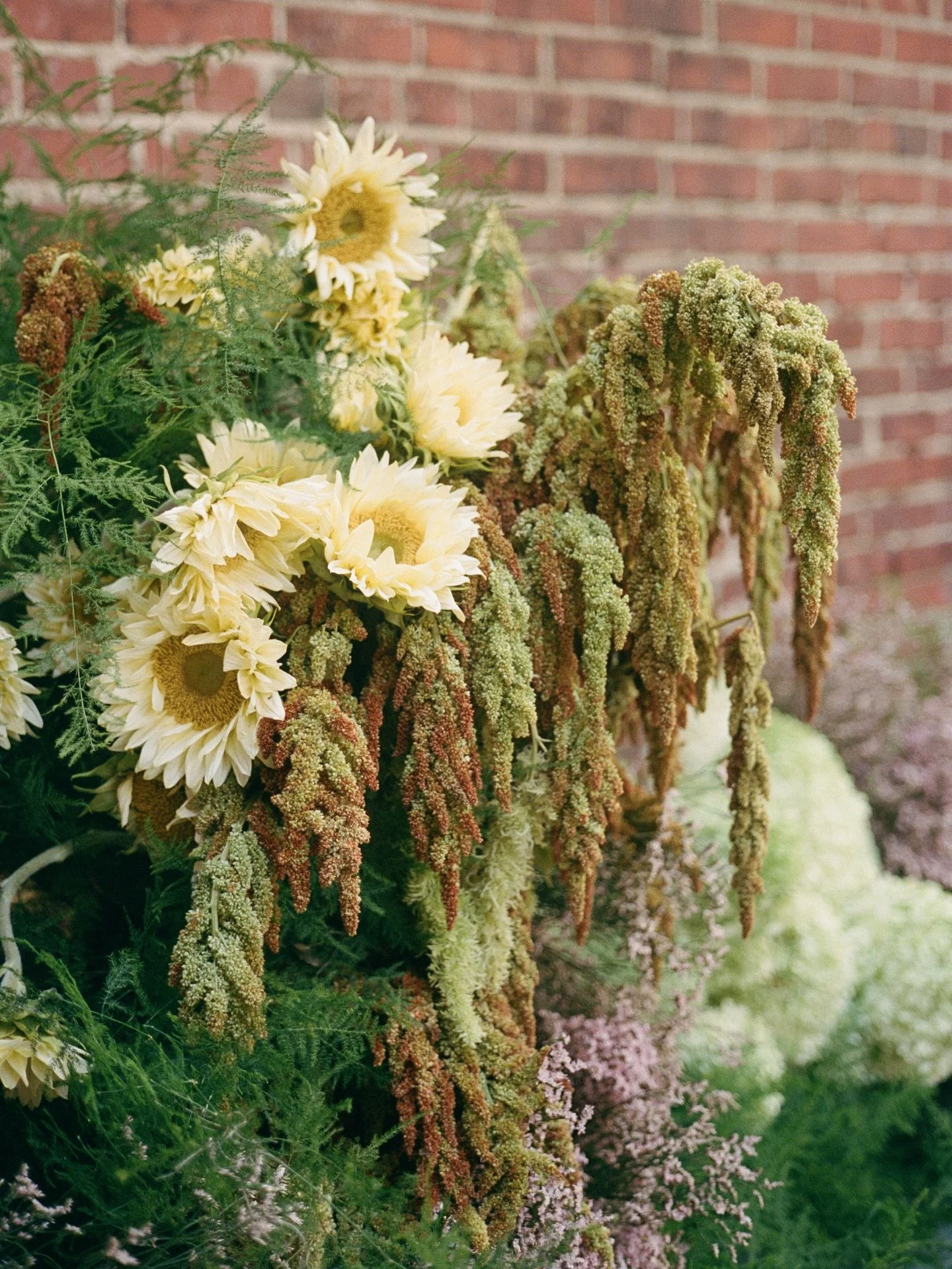 Florals on film🌼 happy Friday🌞