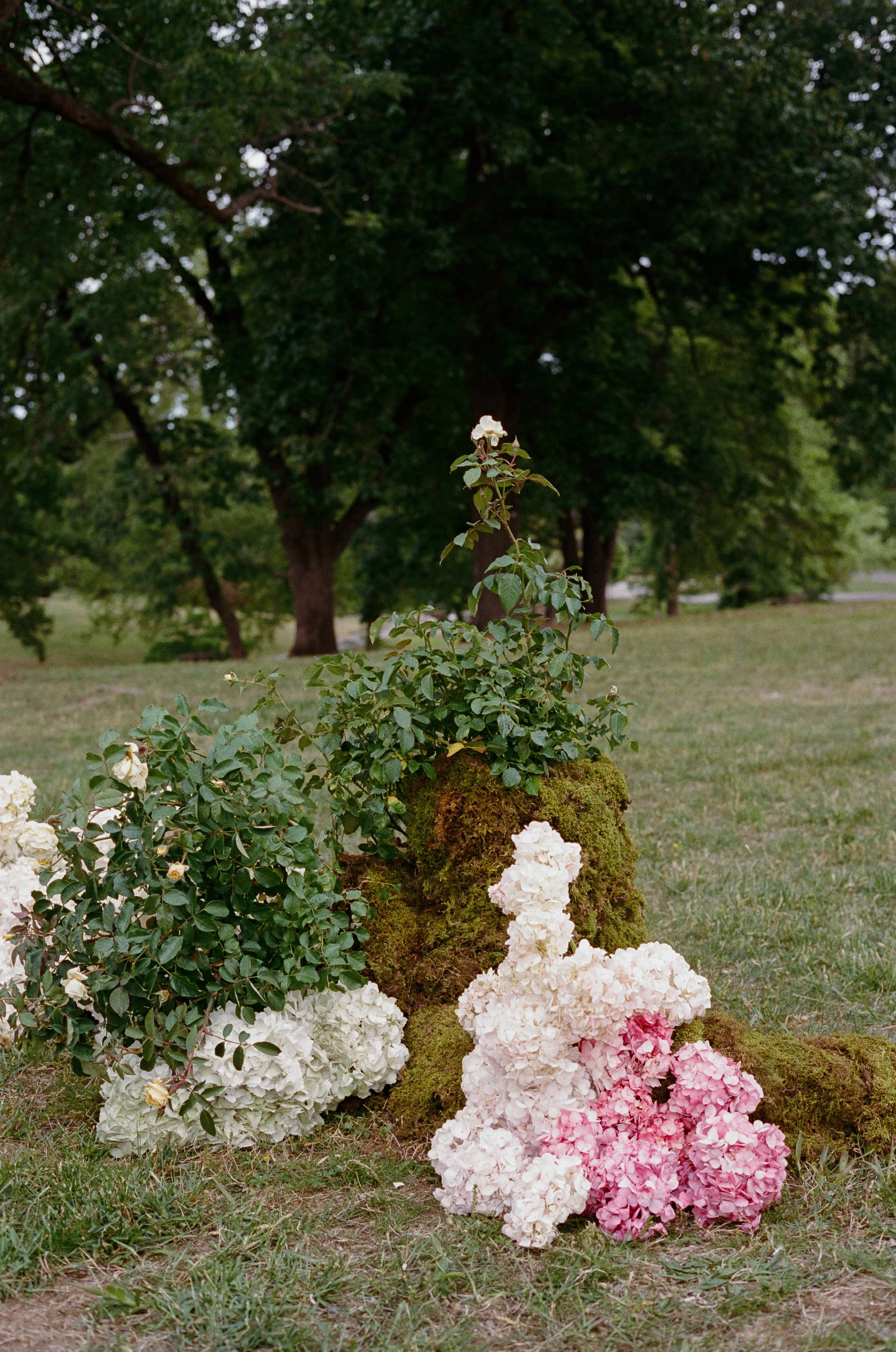 Arrangement of flowers and greenery on moss-covered rocks in a park with large trees in the background. richmond virginia wedding photographer