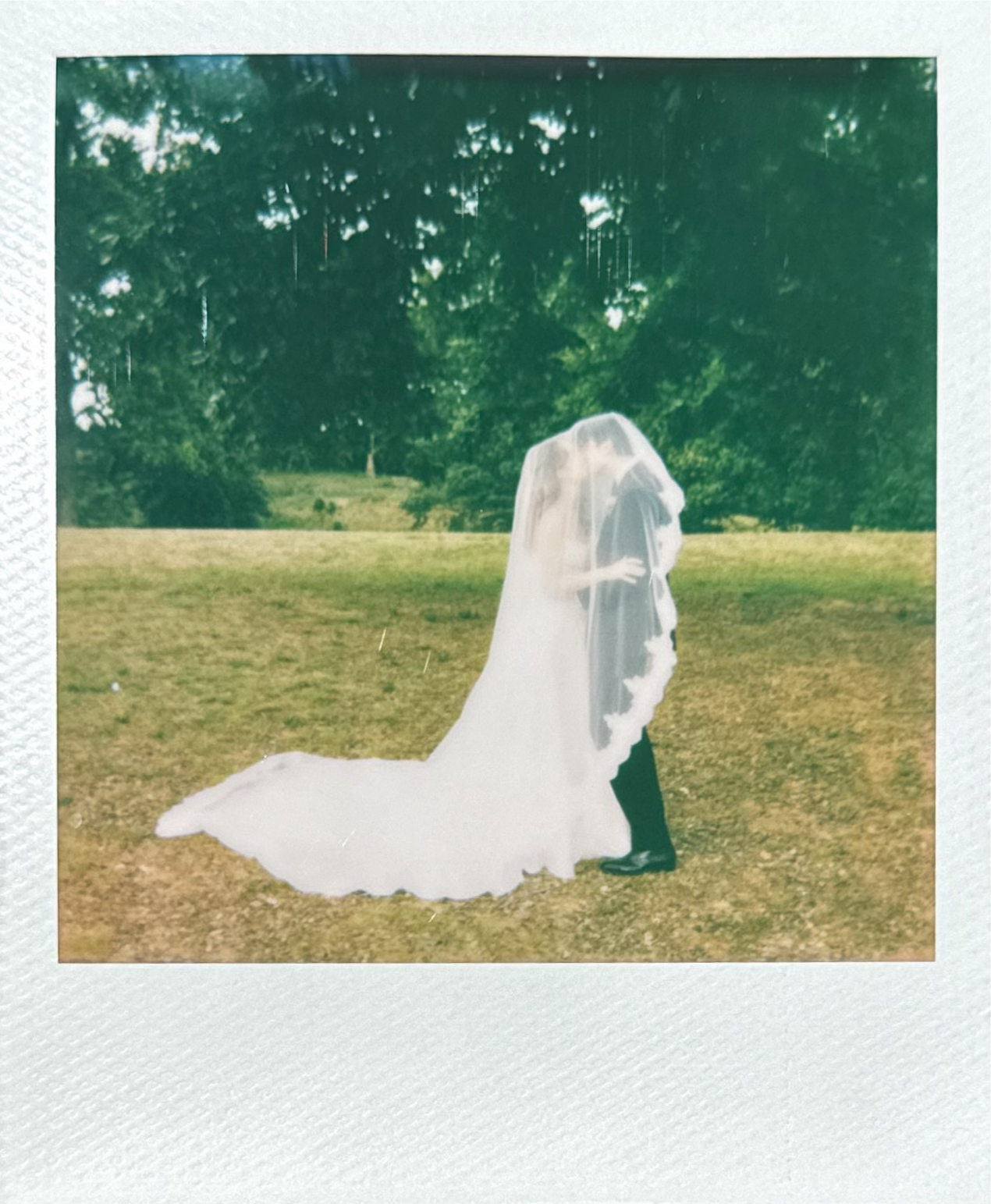 A couple stands outdoors on a grassy field, embracing each other. The bride is wearing a white wedding dress and veil, while the groom is dressed in a dark suit. The background features green trees.