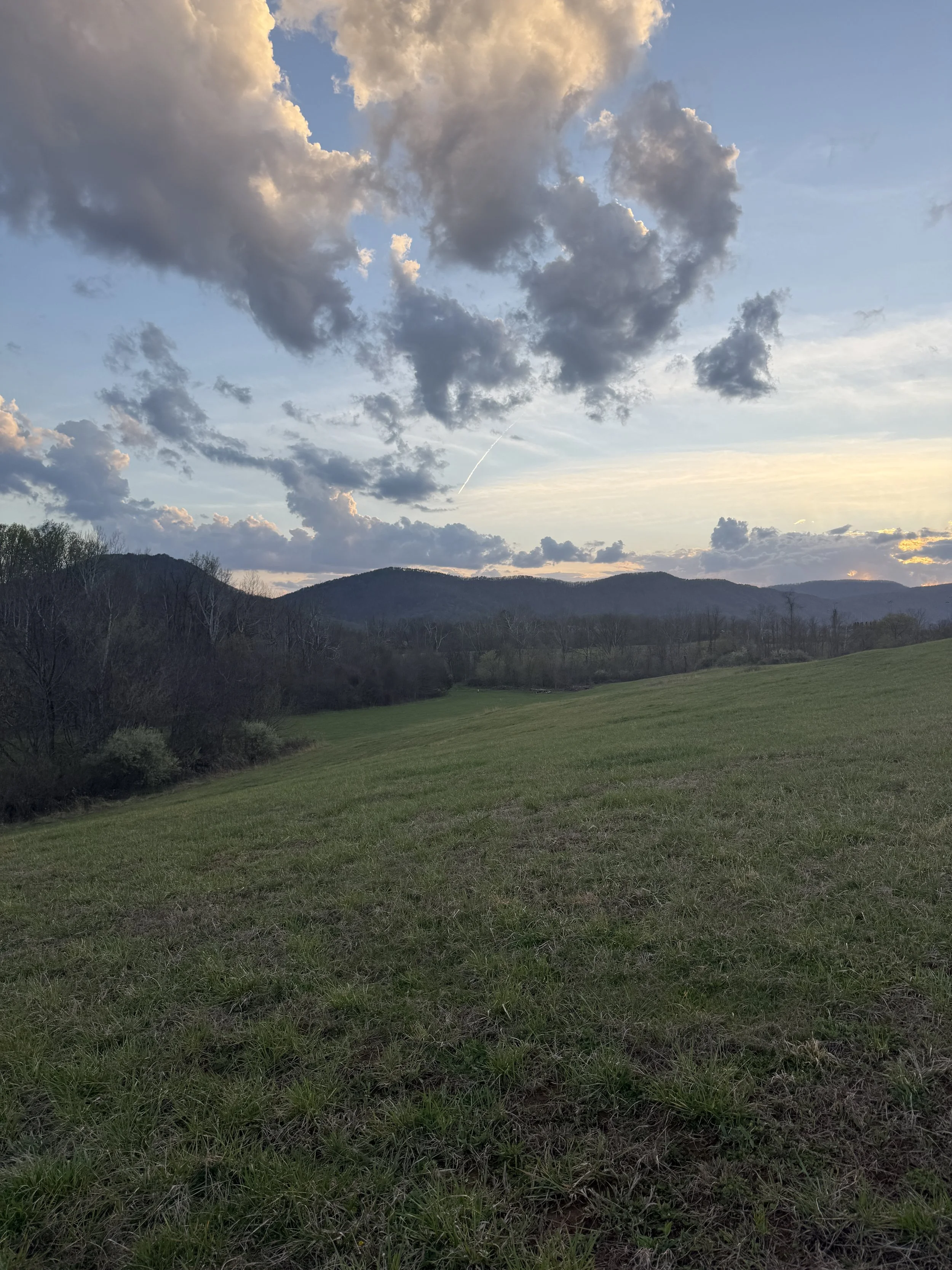 green grassy field with mountains and the sun setting behind them
