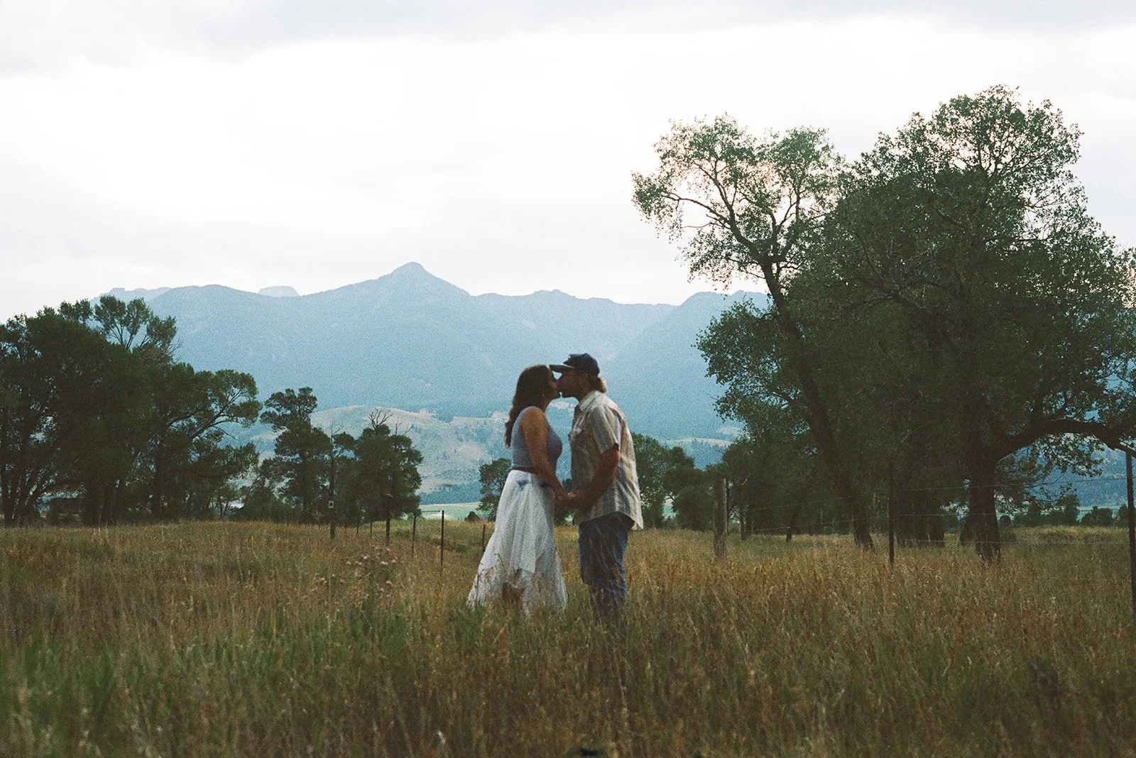 A couple stands in a field holding hands and sharing a kiss, with mountains and trees in the background. livingston montana engagement photographer film