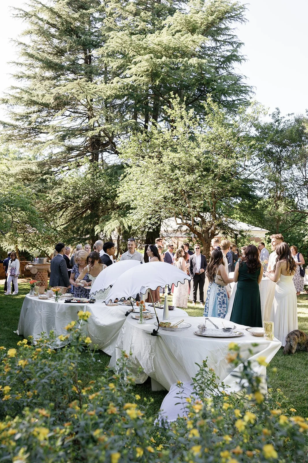 uva garden wedding