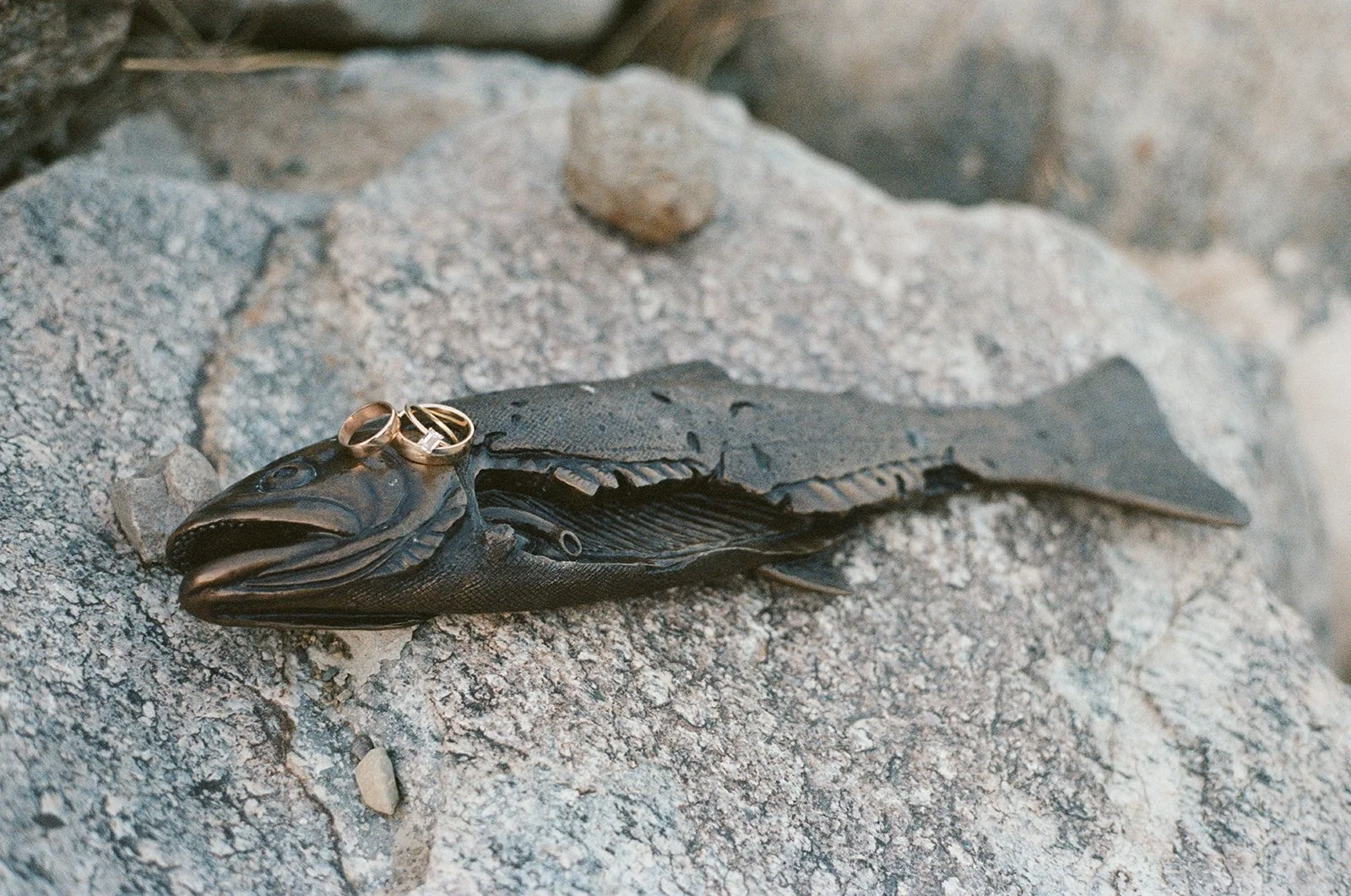 jackson hole wyoming wedding film photographer