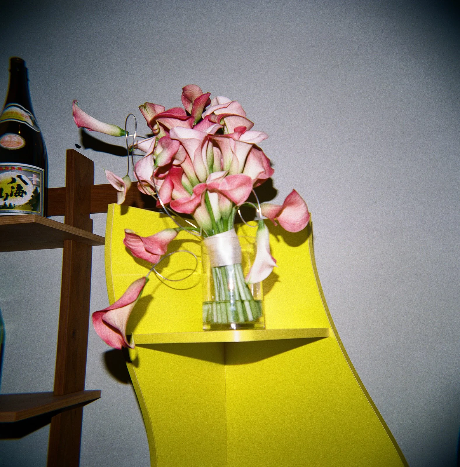 A bouquet of pink and white calla lilies in a striped glass vase on a yellow display shelf against a gray wall. Holga photo, wedding film photographer