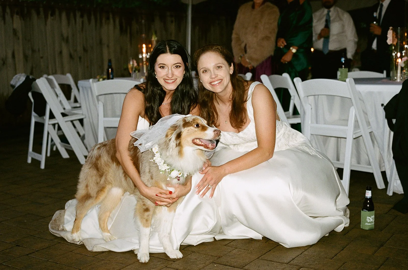 Two women, one in a wedding dress and the other in a black dress, sitting on the floor with a dog wearing a veil and floral necklace during a wedding reception. roanoke wedding photographer virginia film