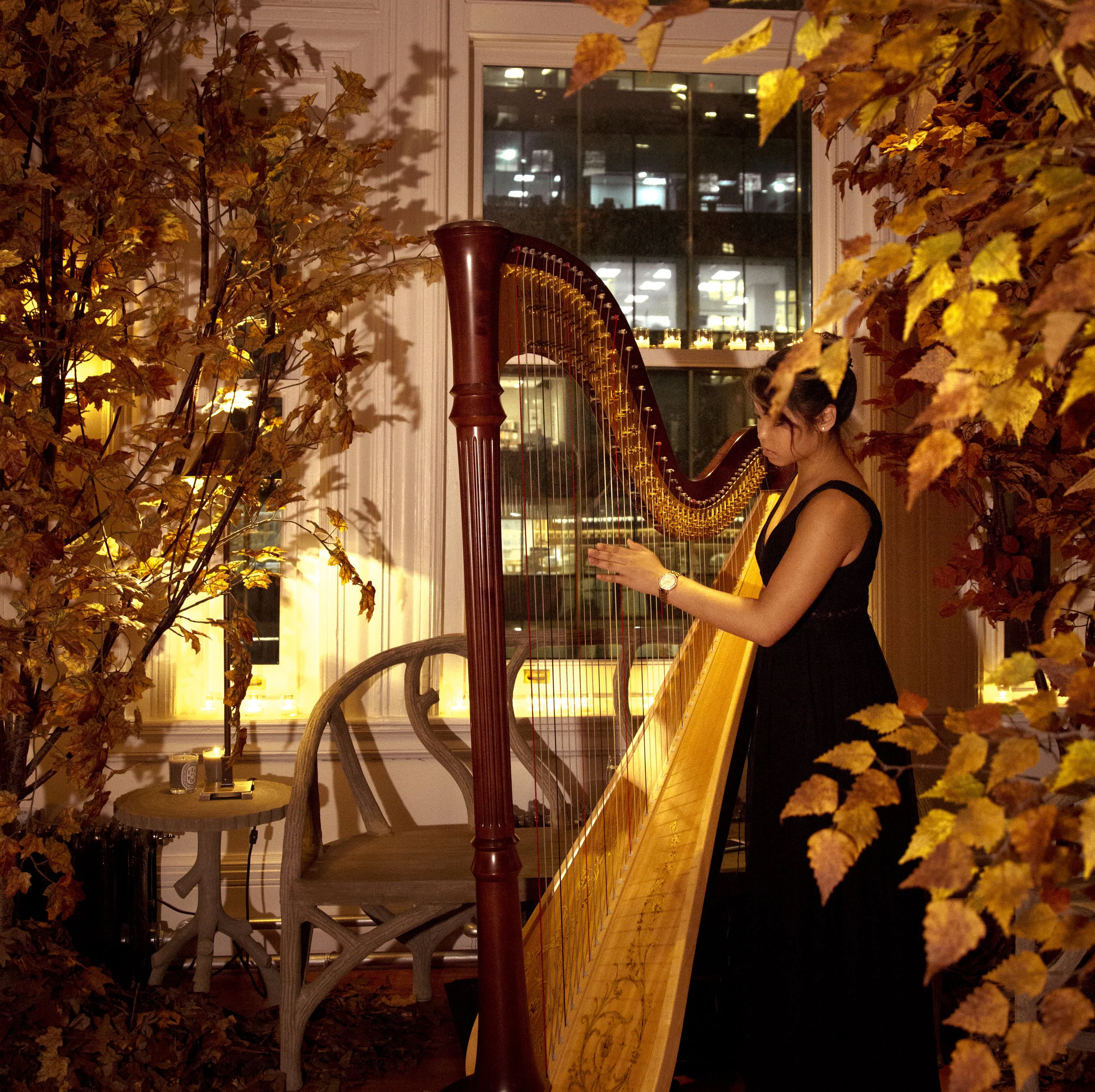 20151008_carnegie125_chiachong_59.jpg