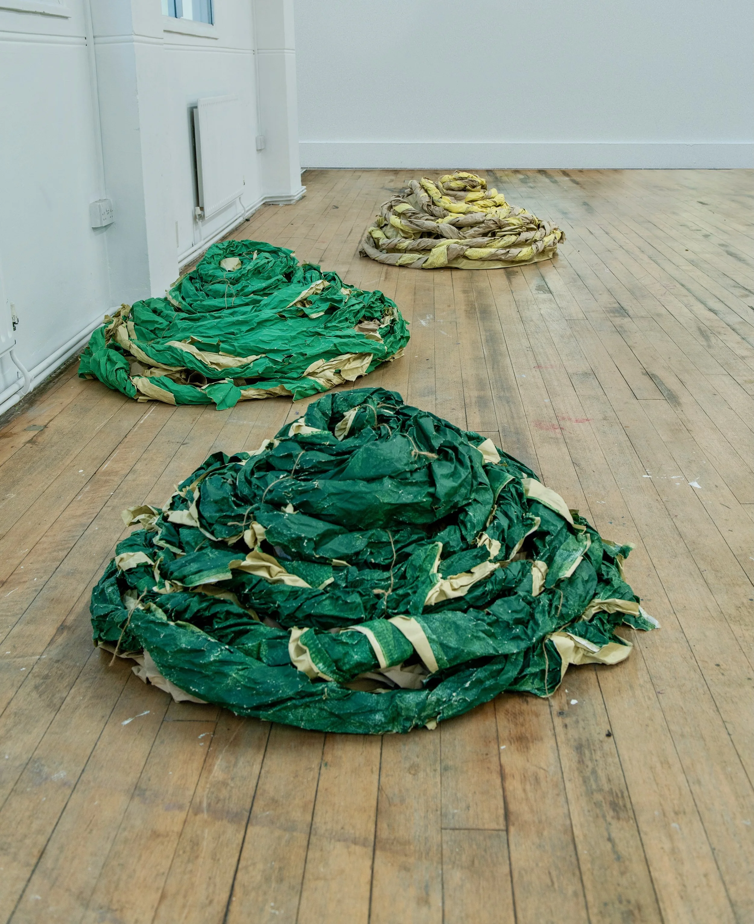 Spring Crush, coiled mounds