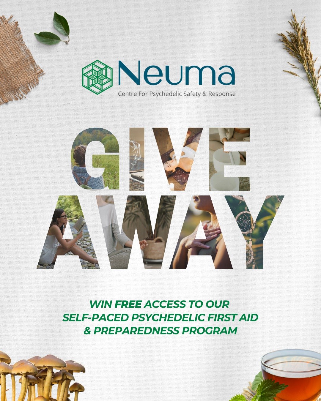 **GIVEAWAY NOW CLOSED**

👐 Giveaway Alert! Win a free spot in our newly updated Psychedelic First Aid &amp; Preparedness program 💫

This virtual, self-paced training supports anyone interested in harm reduction, psychedelic safety, and showing up w